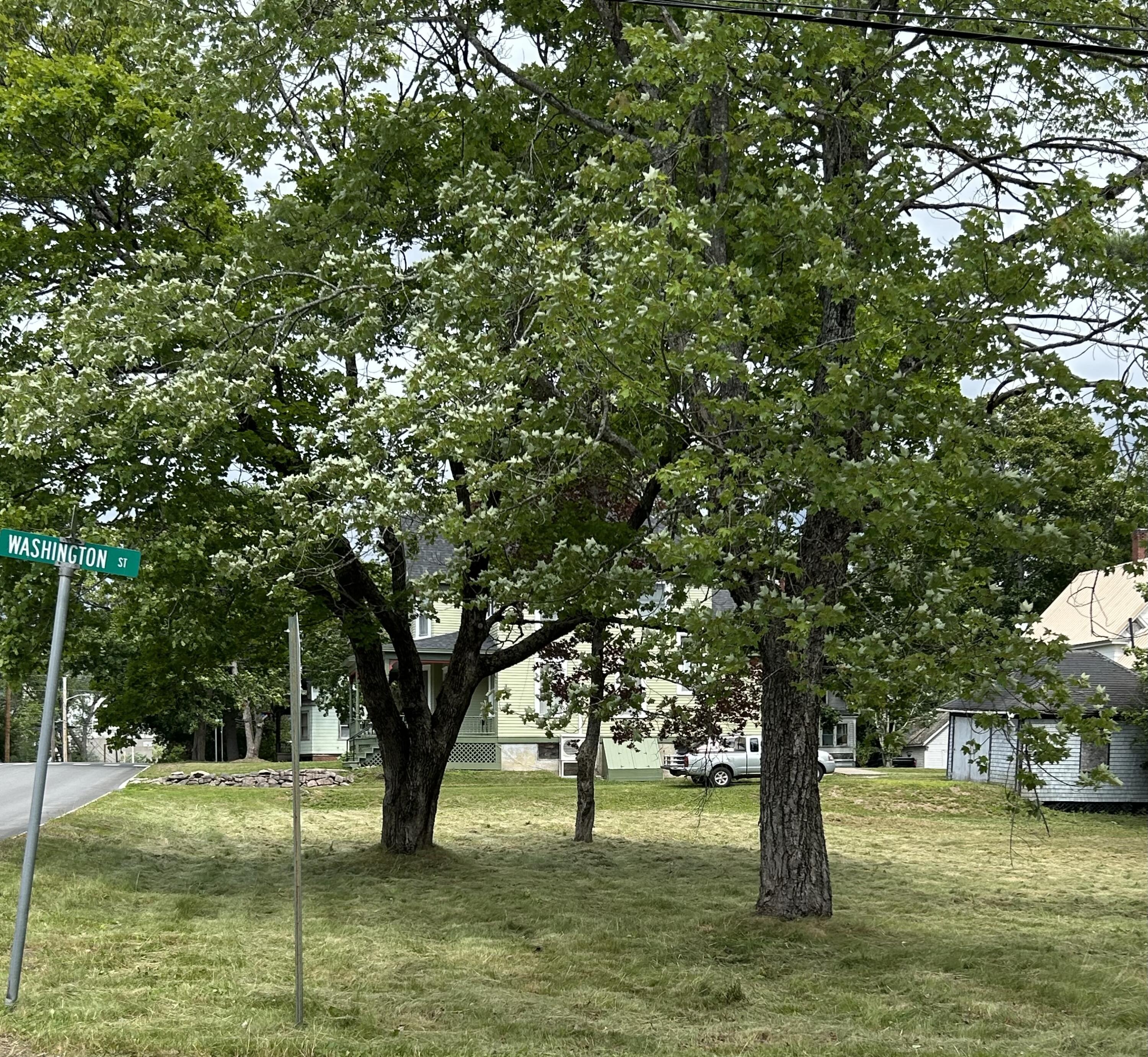 main property photo 74