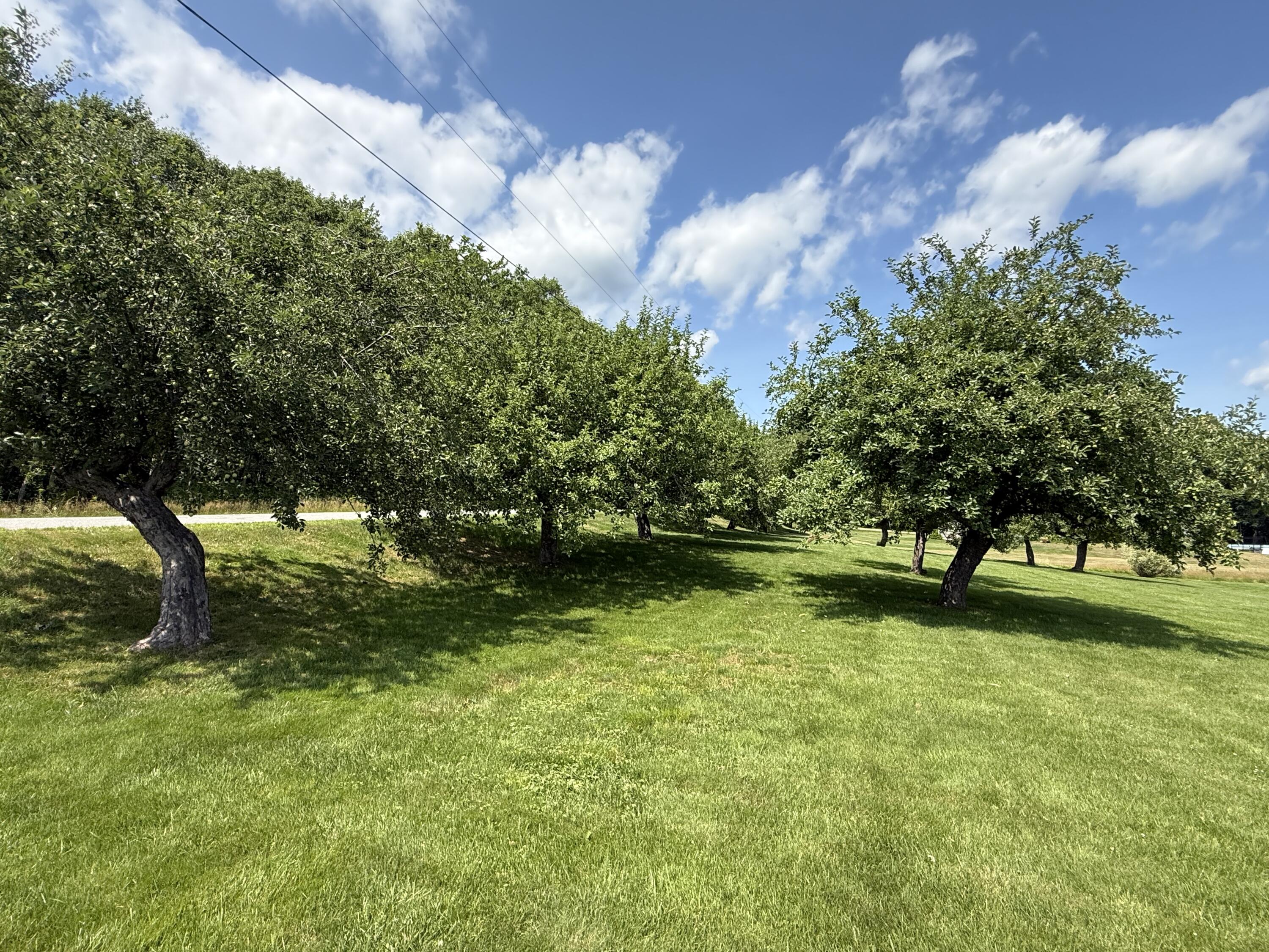 main property photo 29