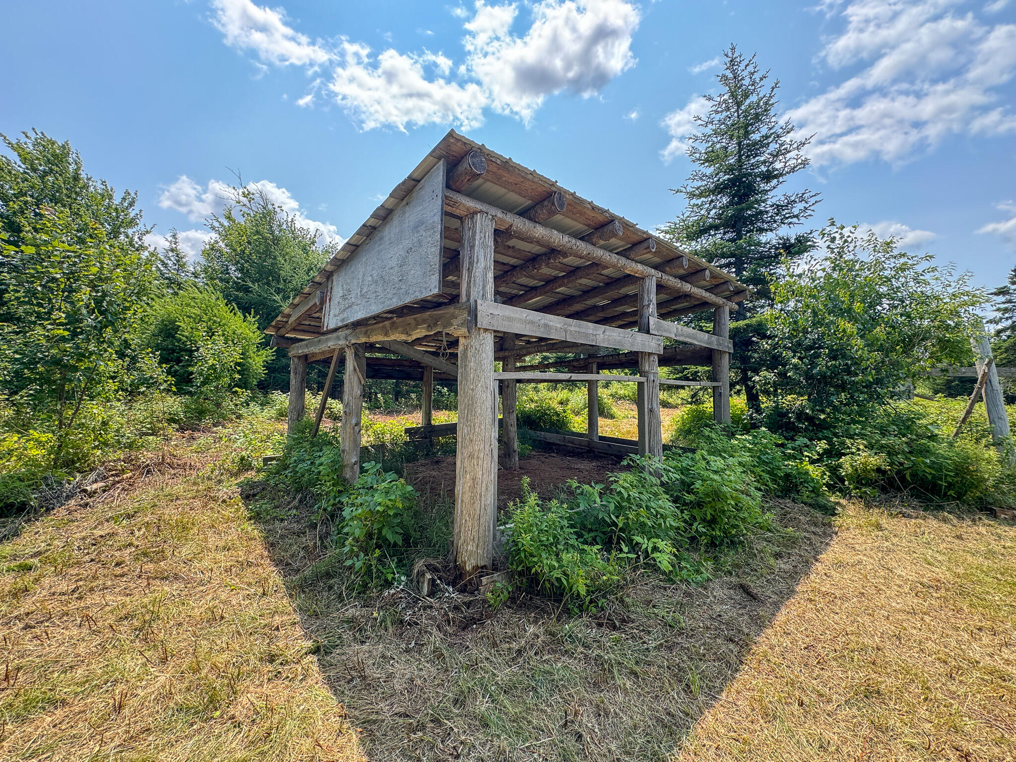 main property photo 23