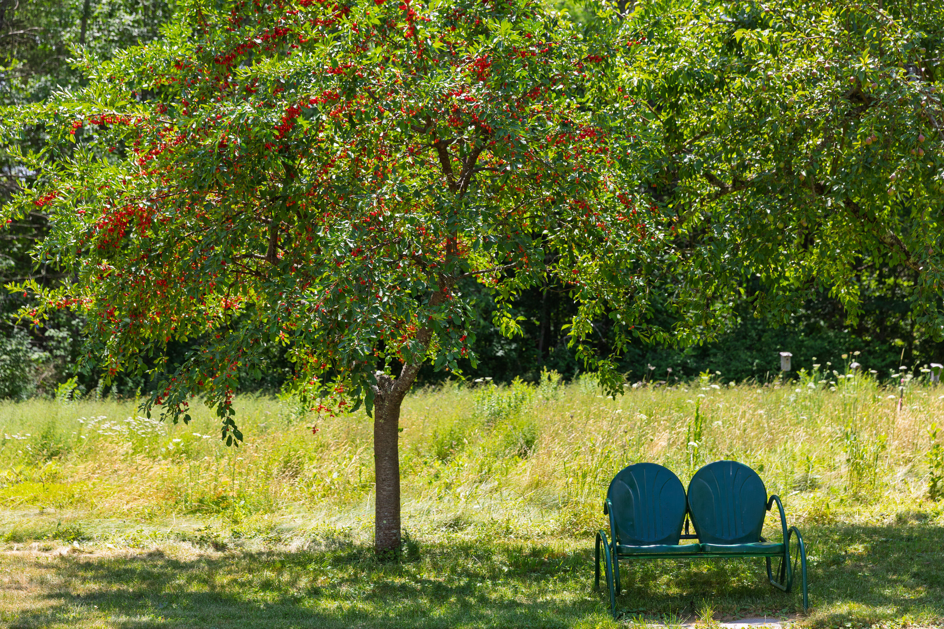 main property photo 41