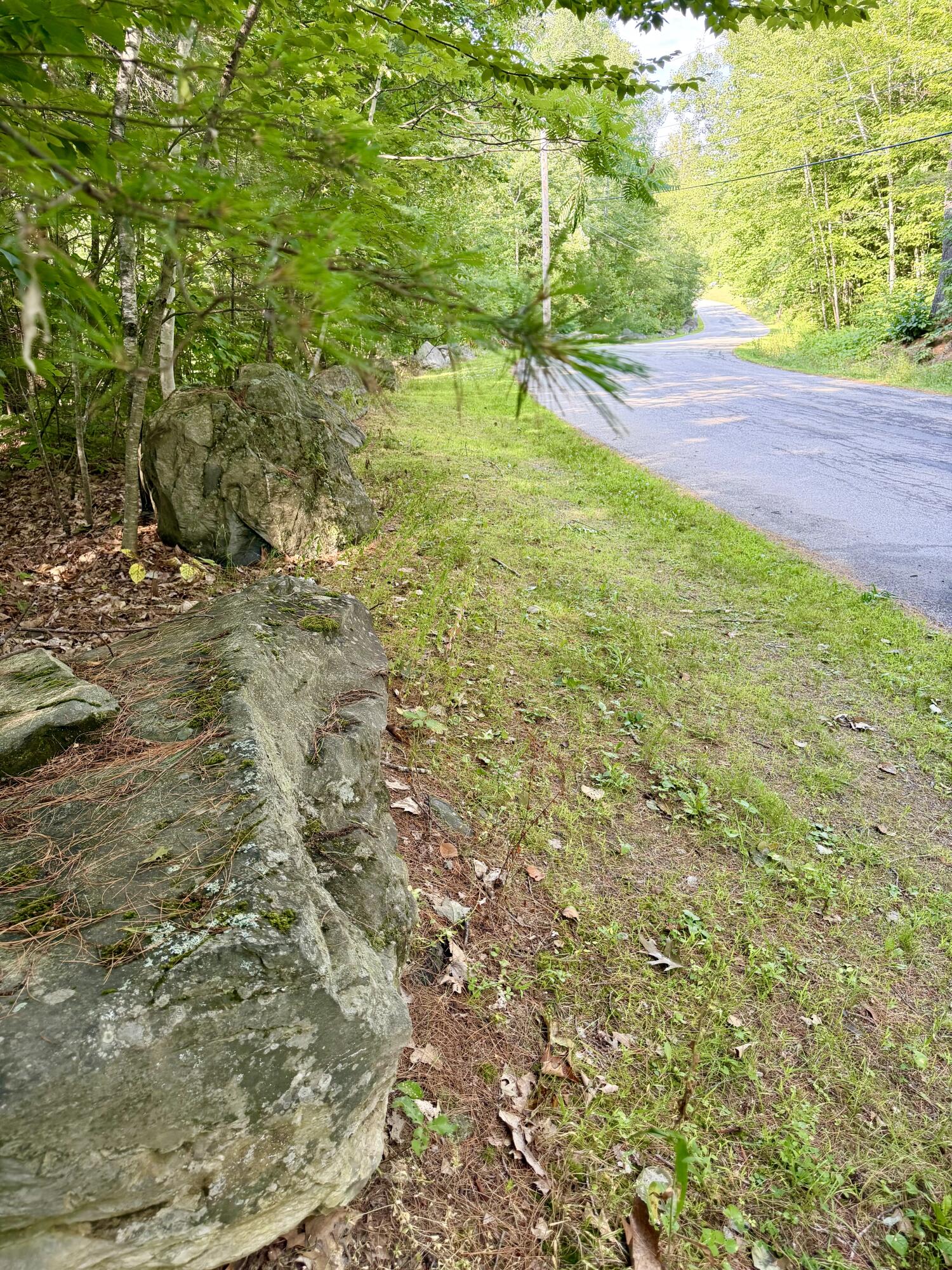 main property photo 69