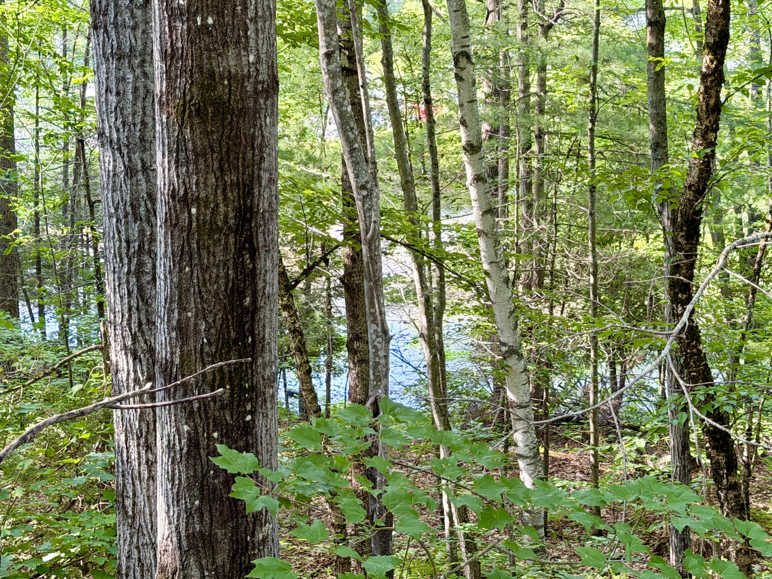 main property photo 72