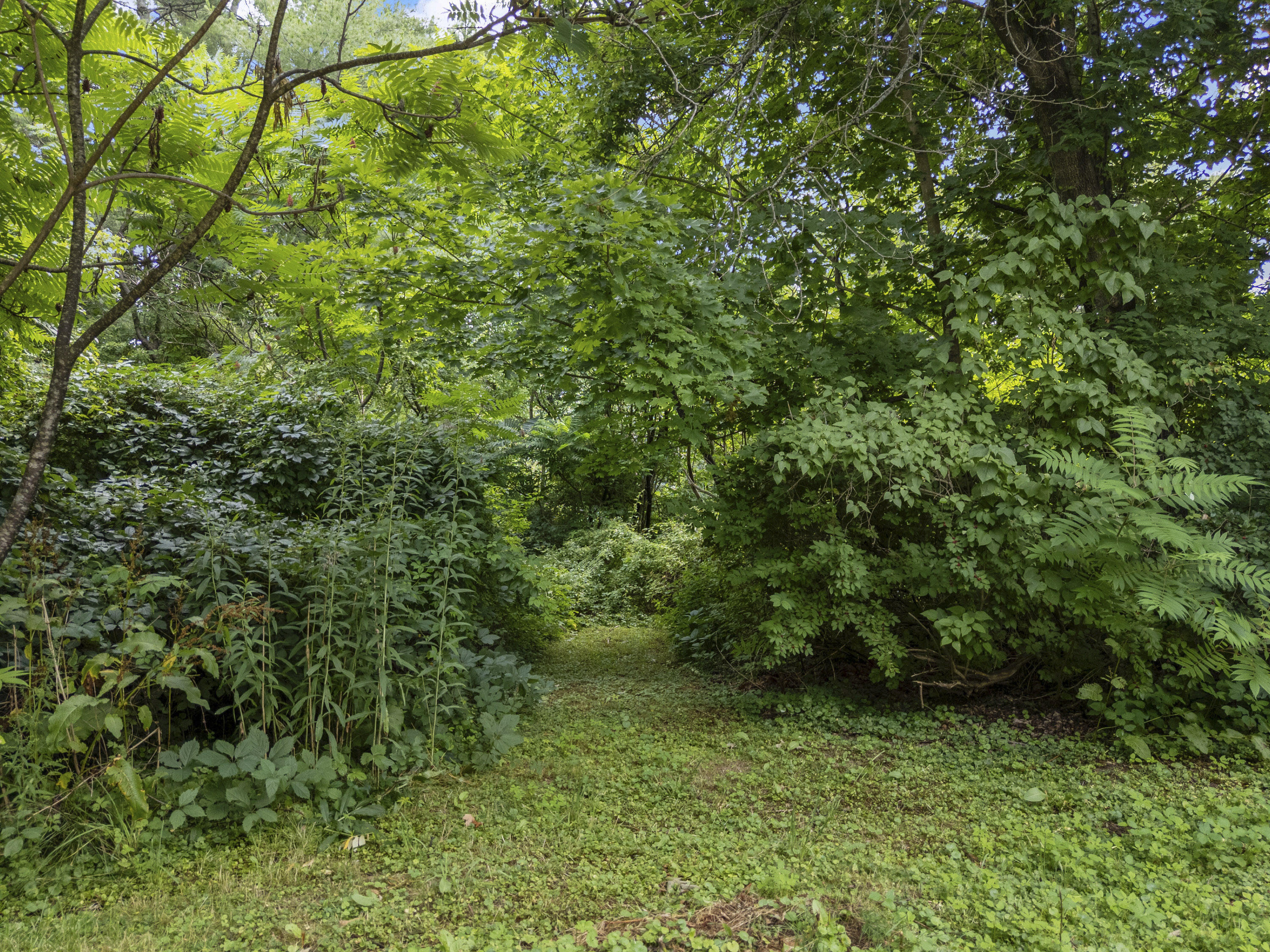 main property photo 51