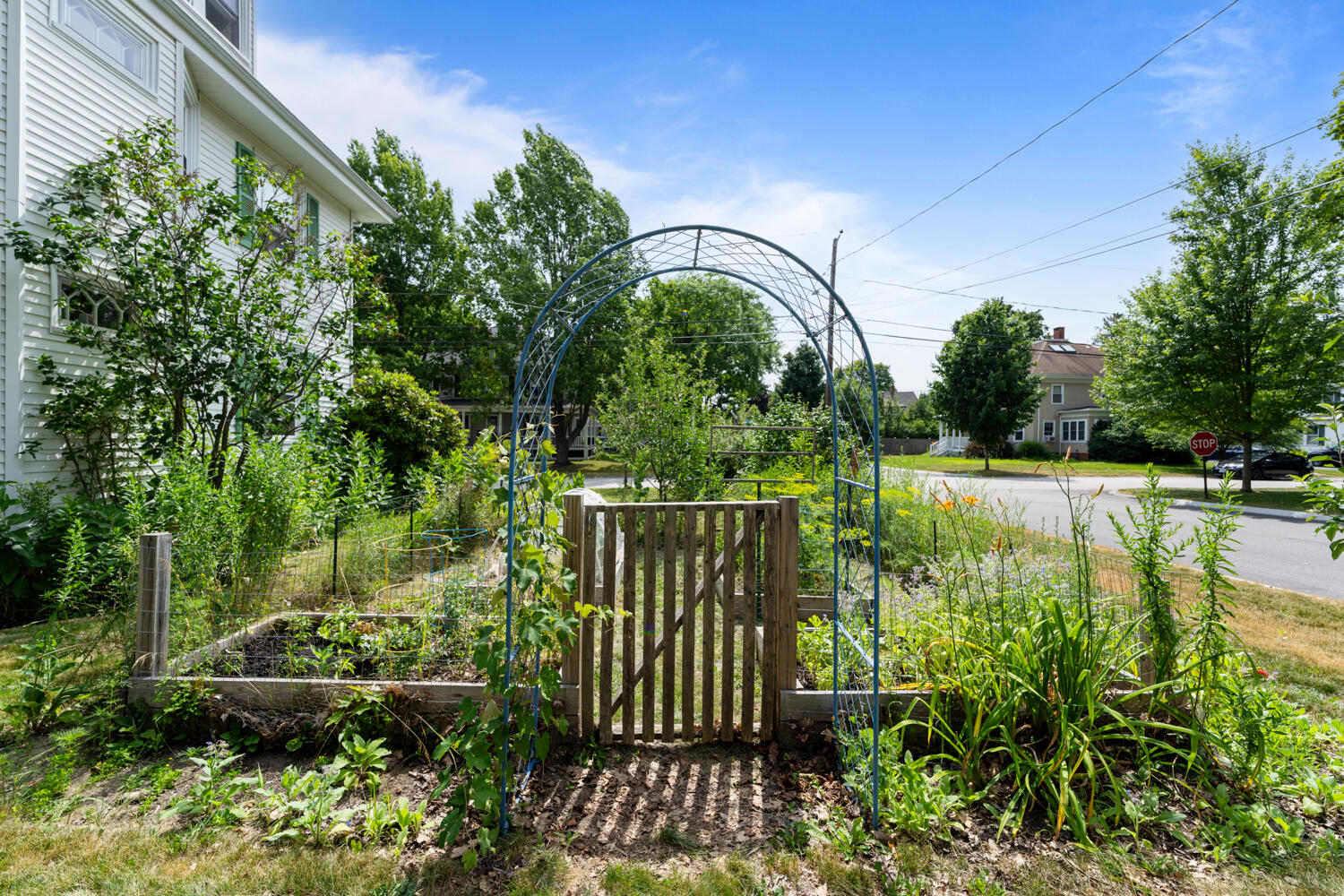 main property photo 4