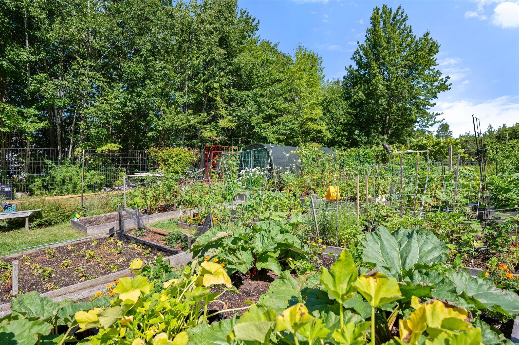 main property photo 67
