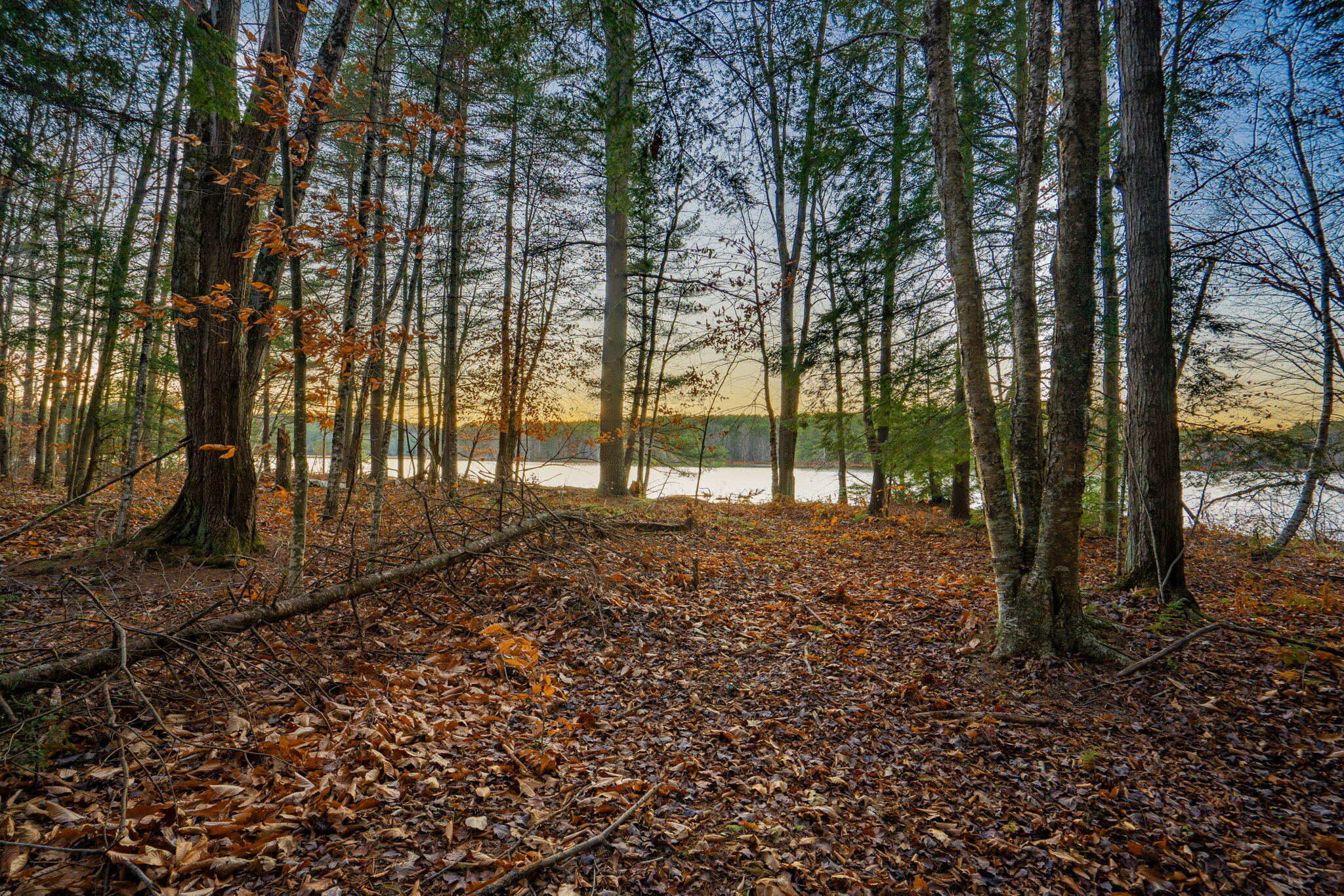 main property photo 18