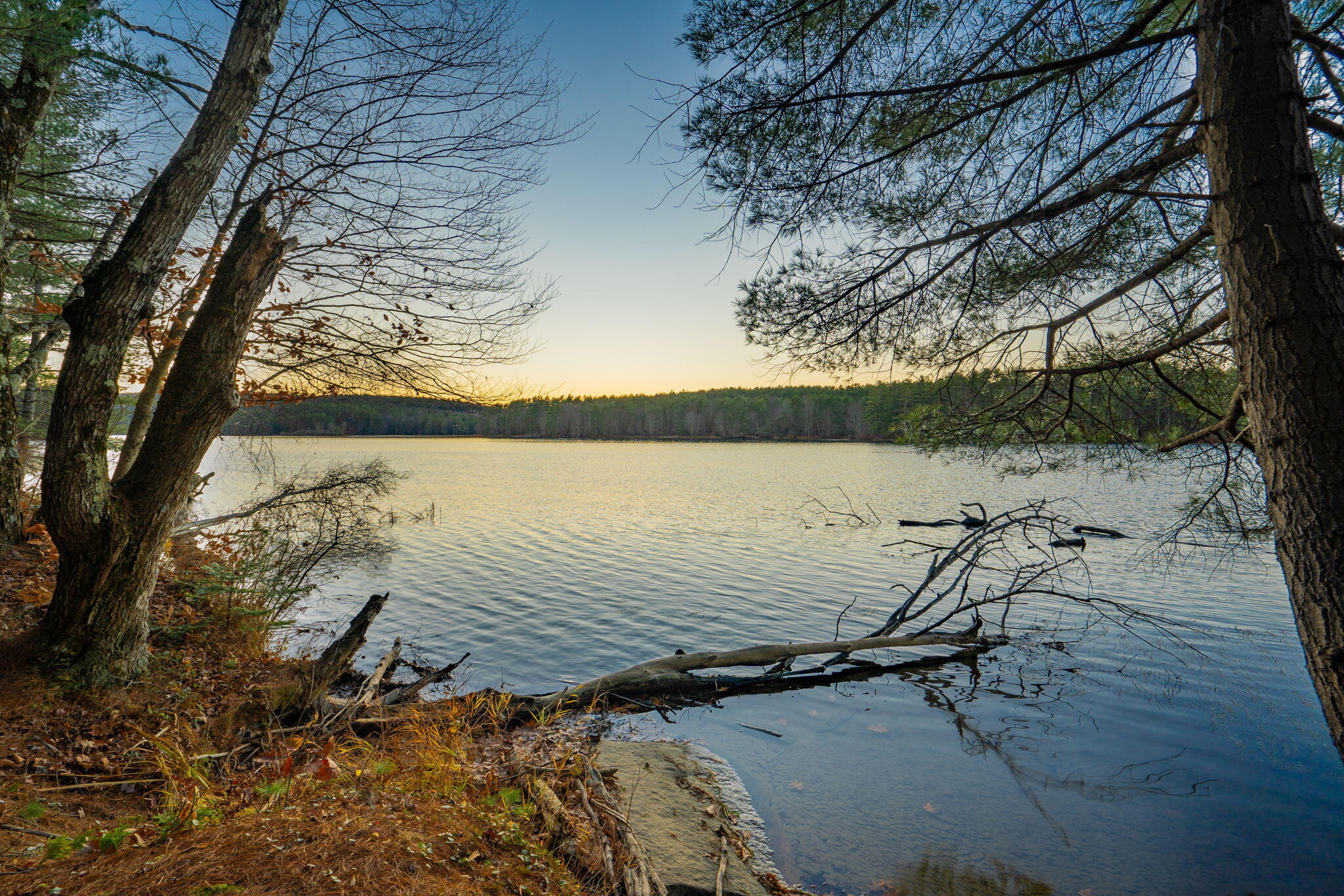 main property photo 46