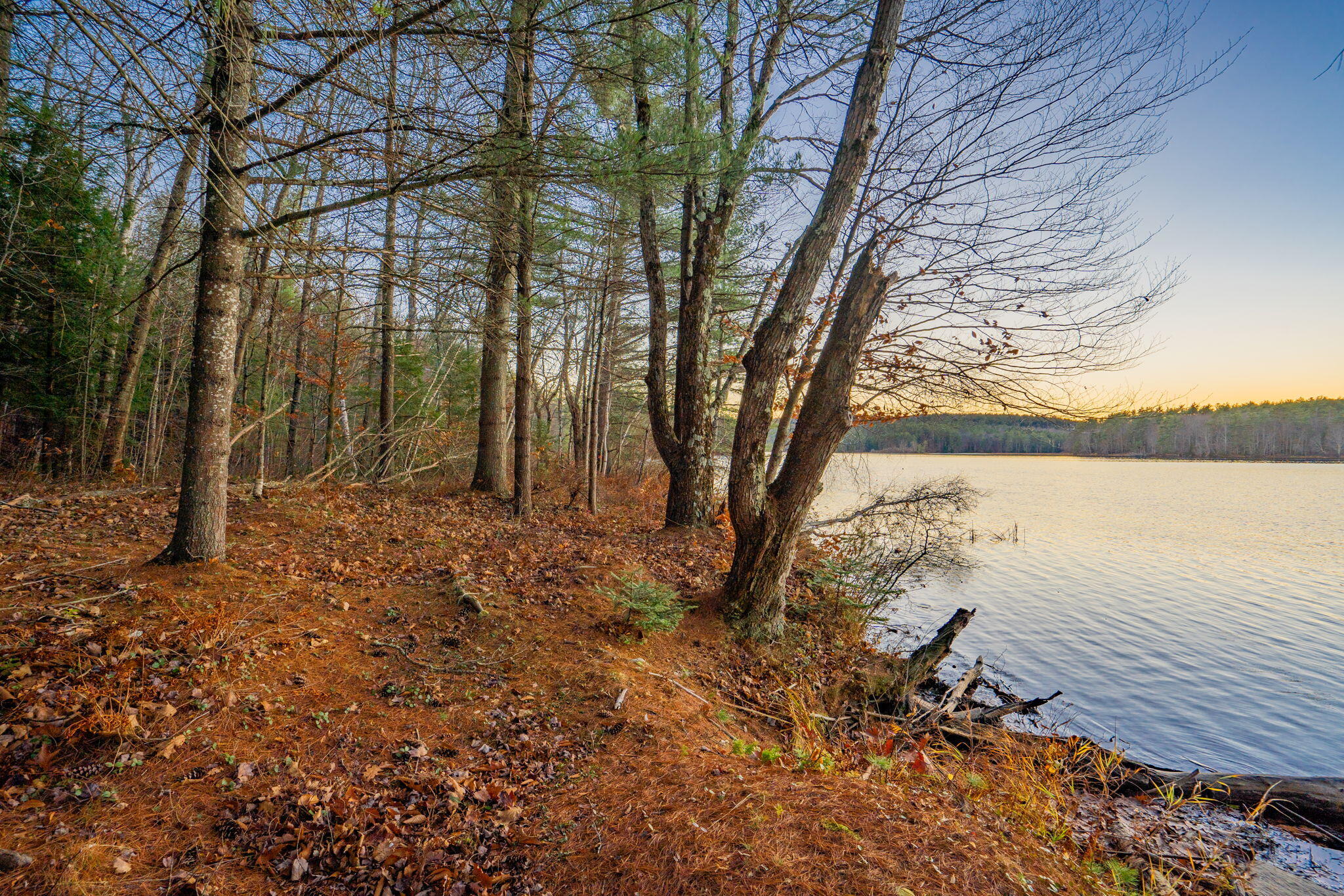 main property photo 47