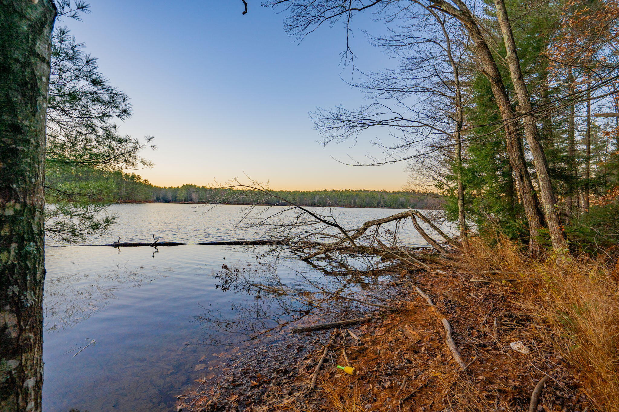 main property photo 48