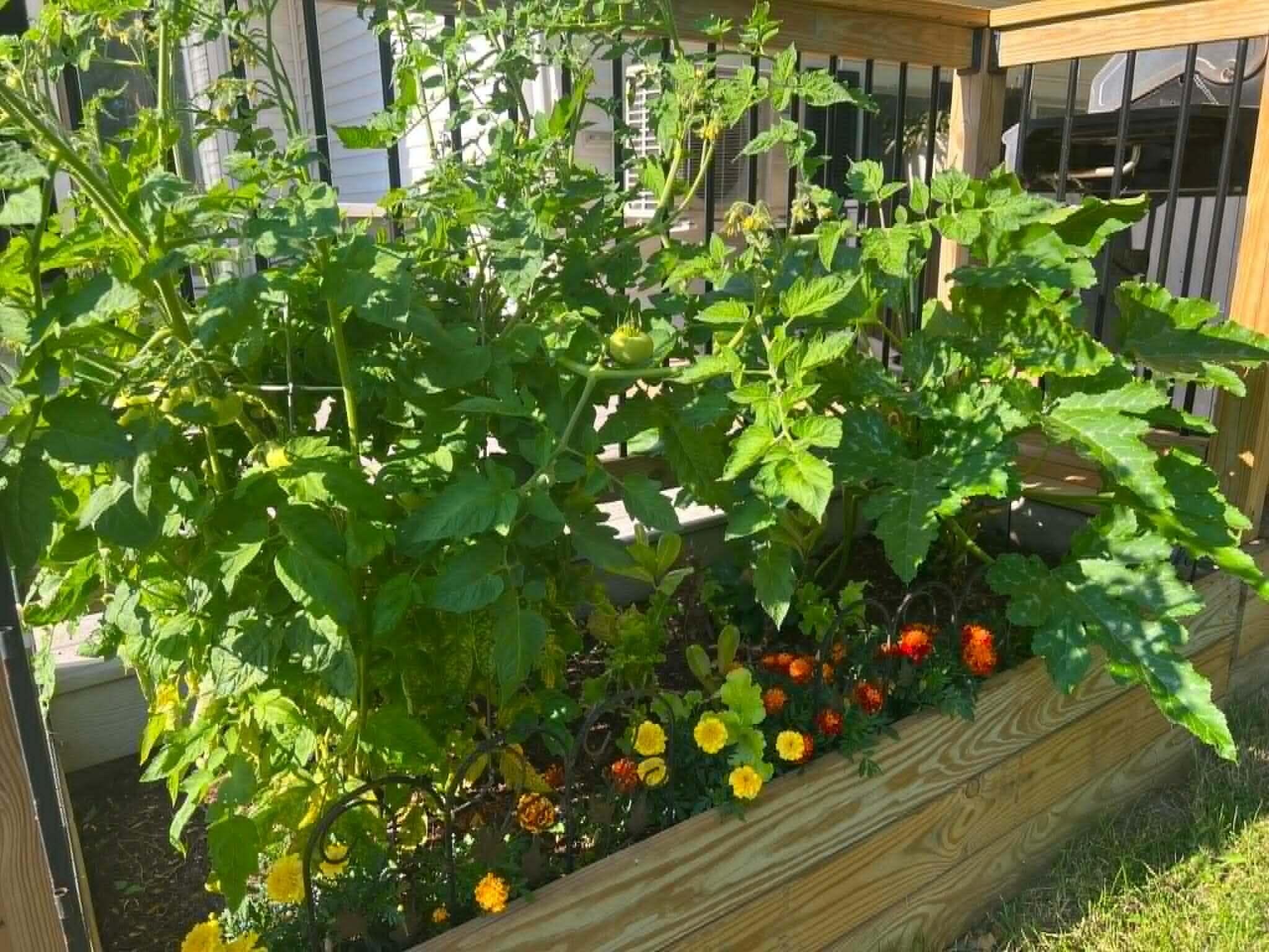 main property photo 37