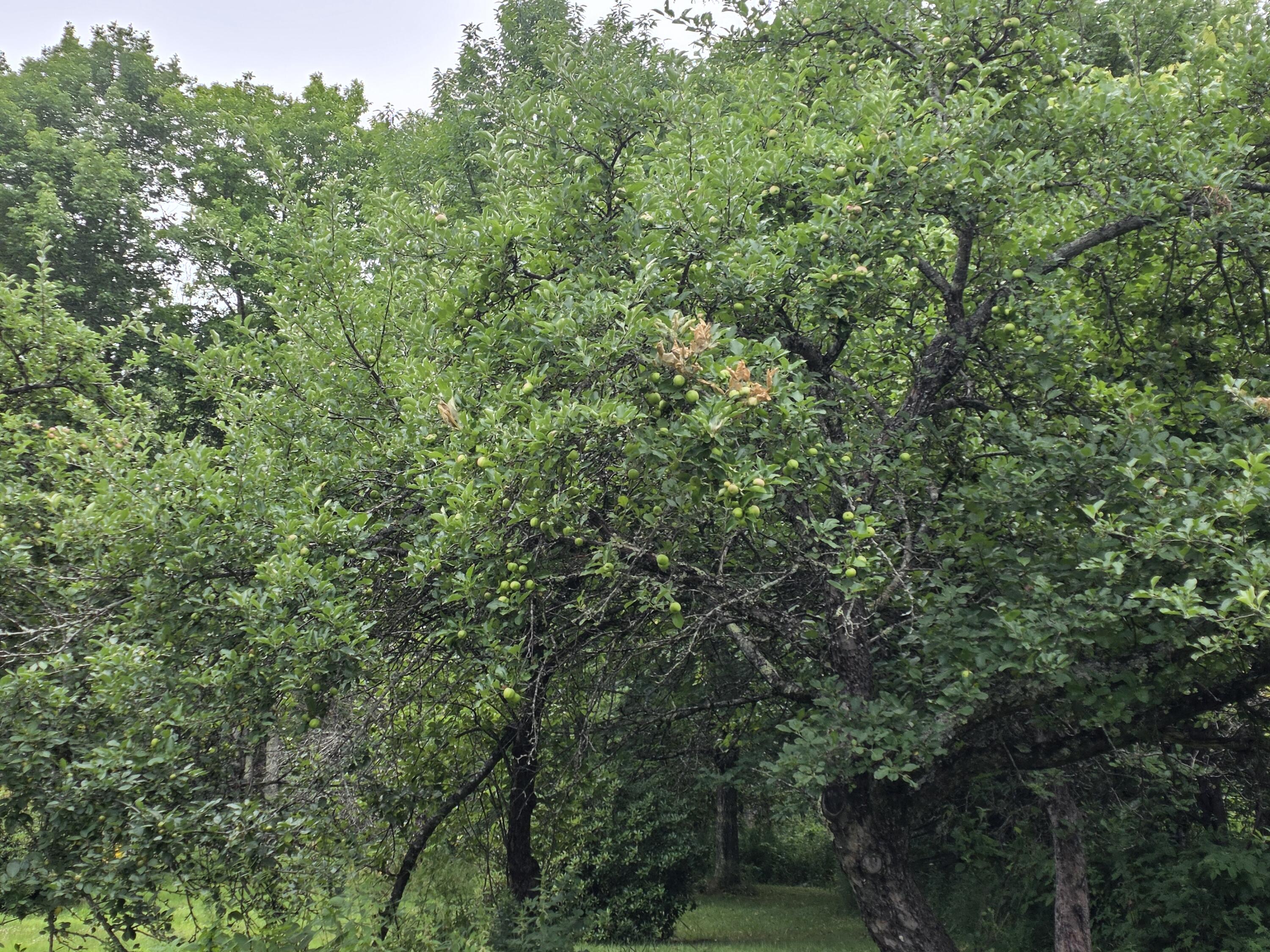 main property photo 12