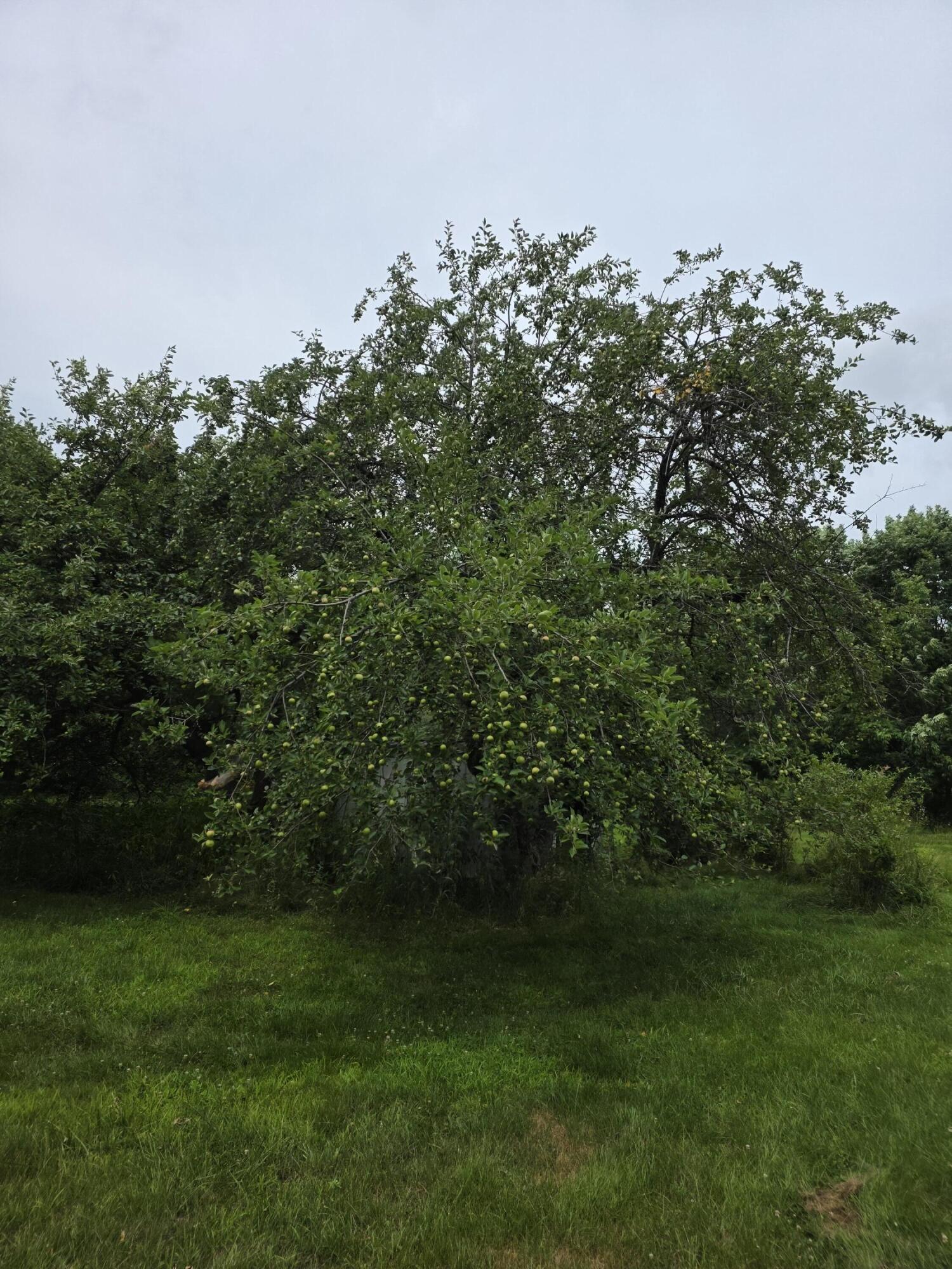 main property photo 20