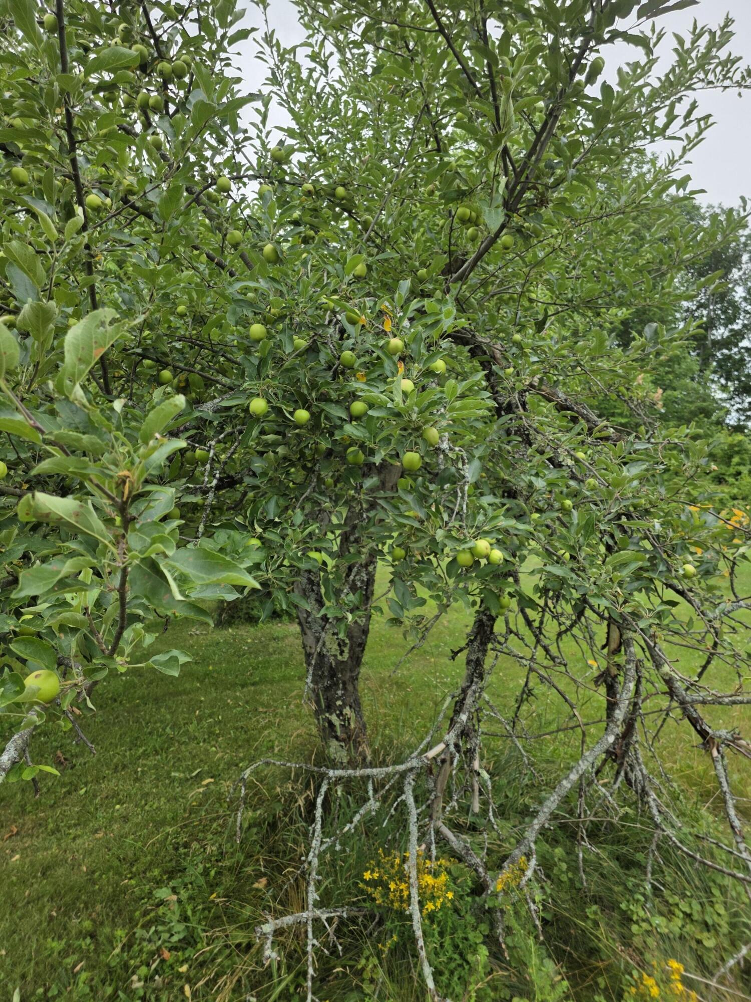 main property photo 8
