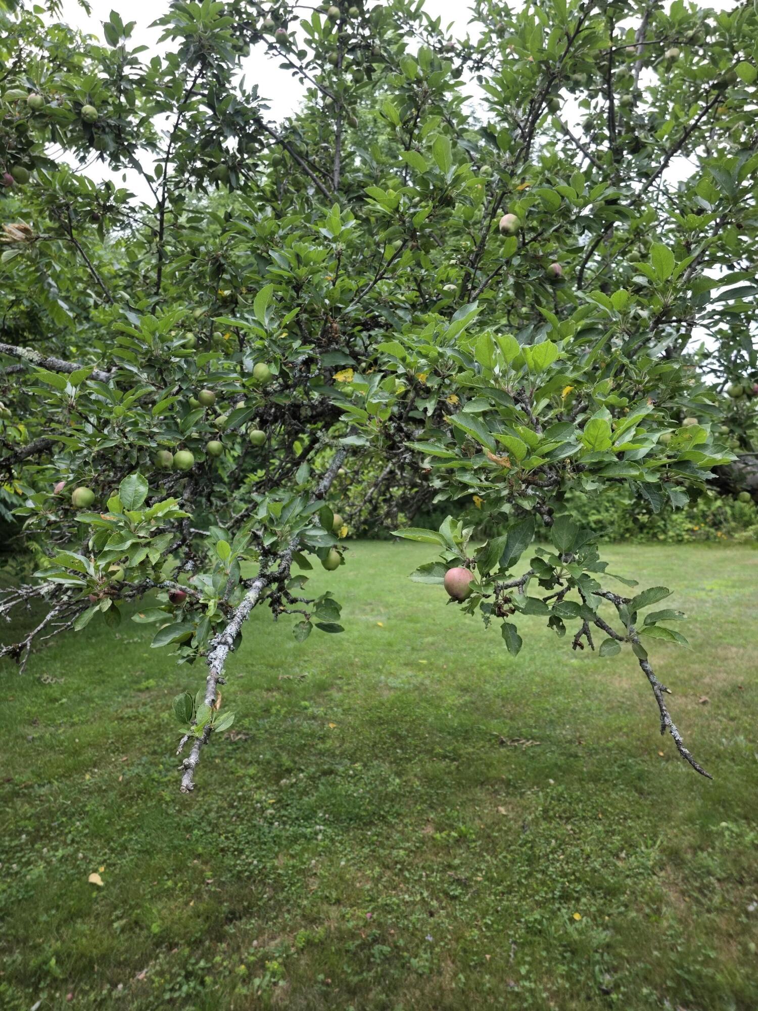 main property photo 9