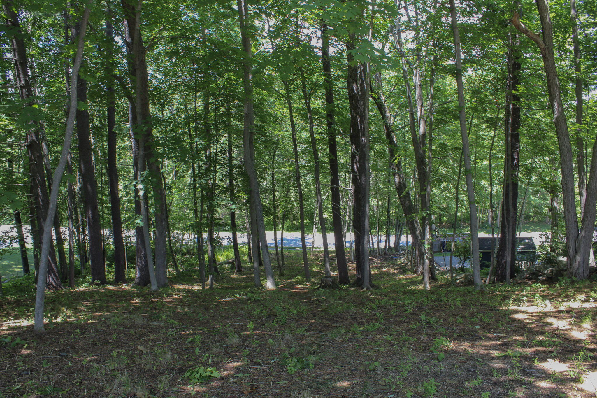 main property photo 64