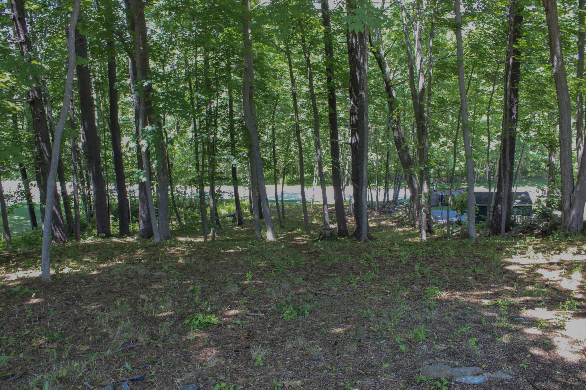 main property photo 66