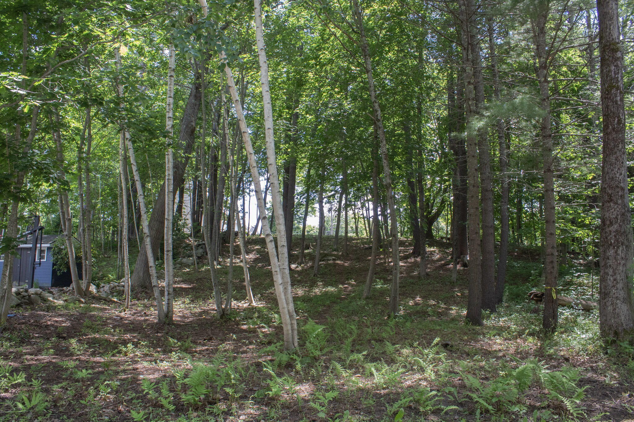 main property photo 71