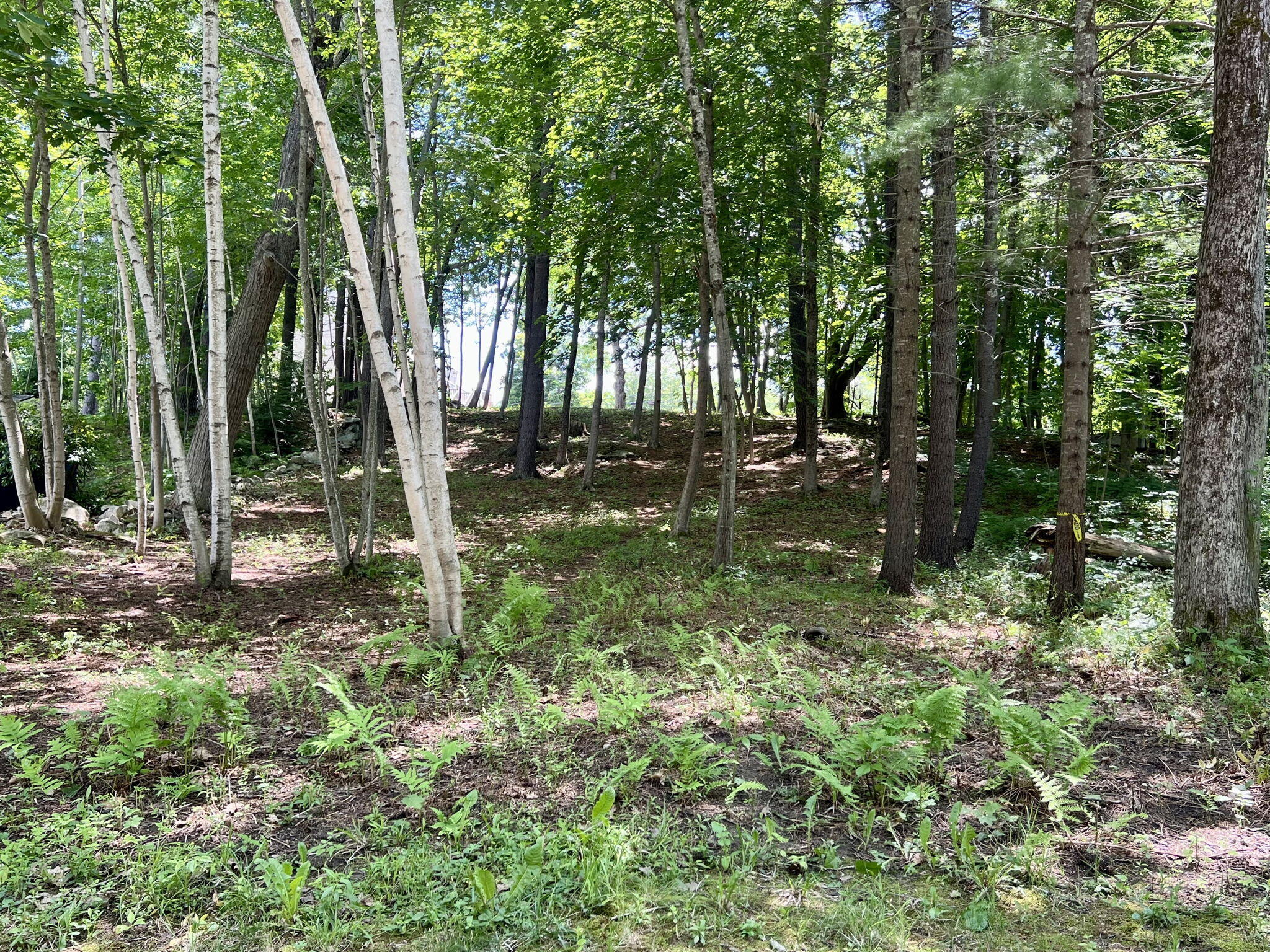 main property photo 75