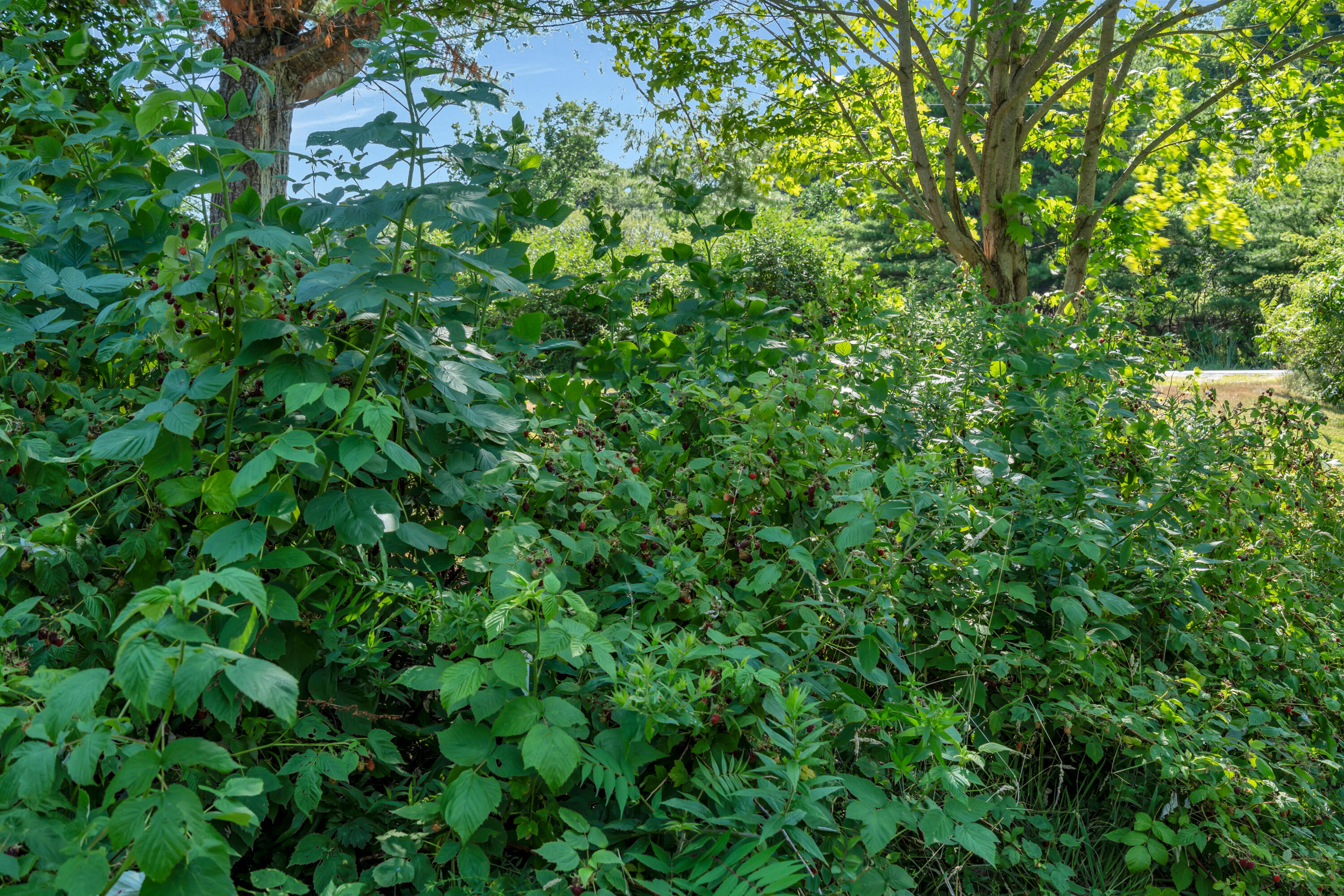 main property photo 70