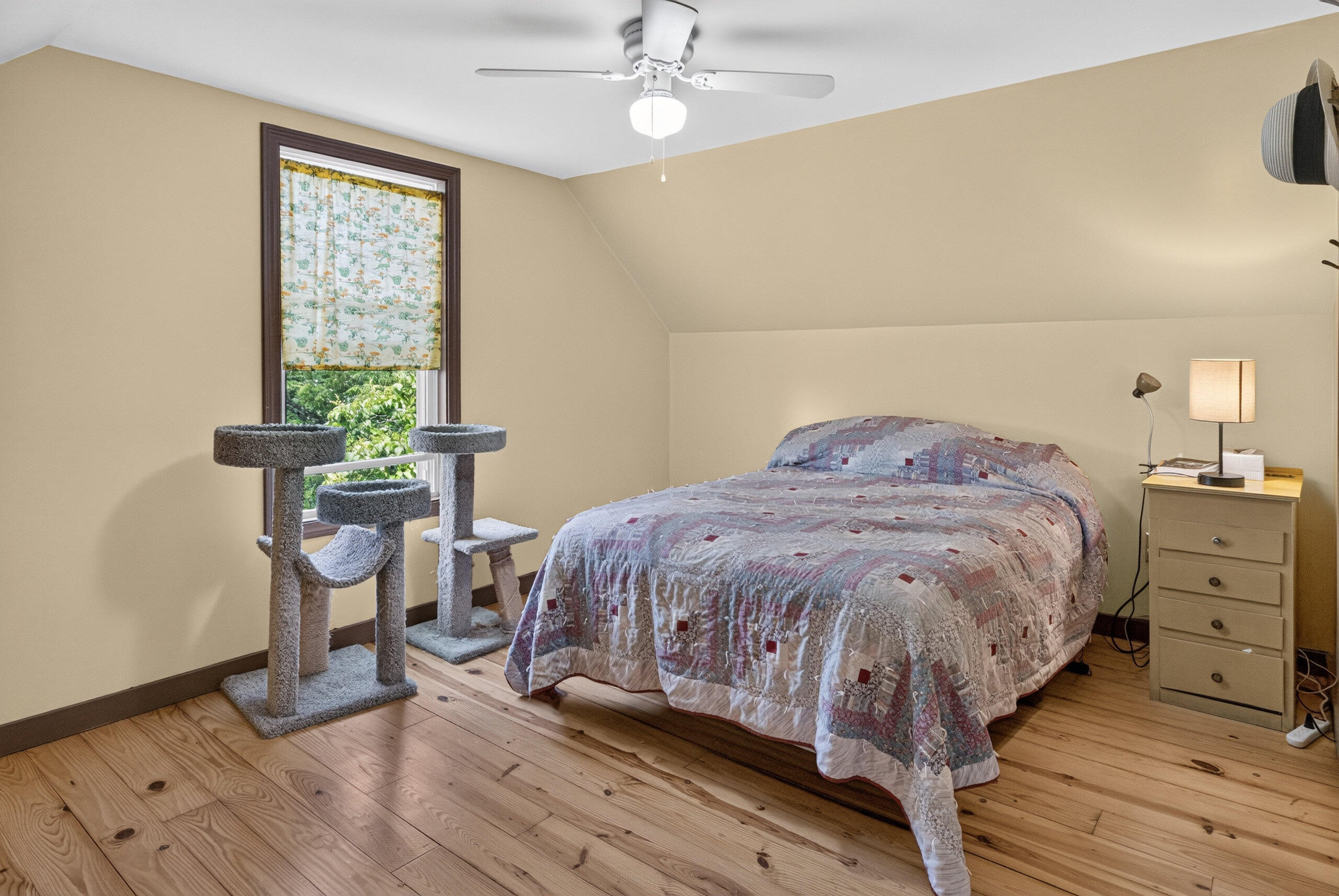 main property photo 38
