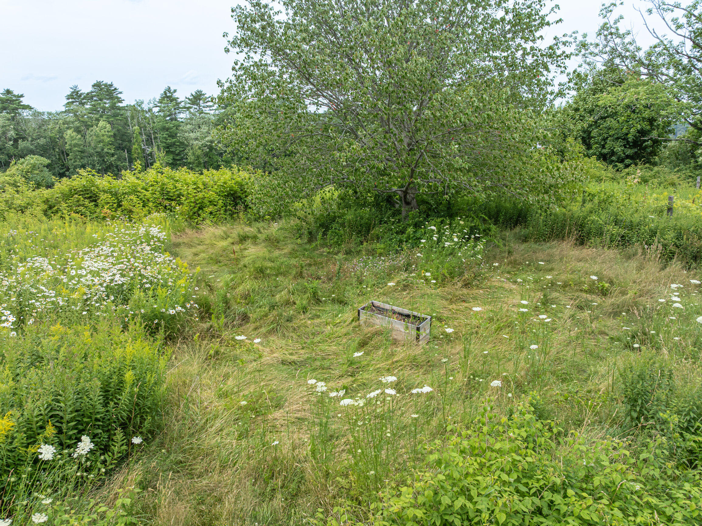 main property photo 58