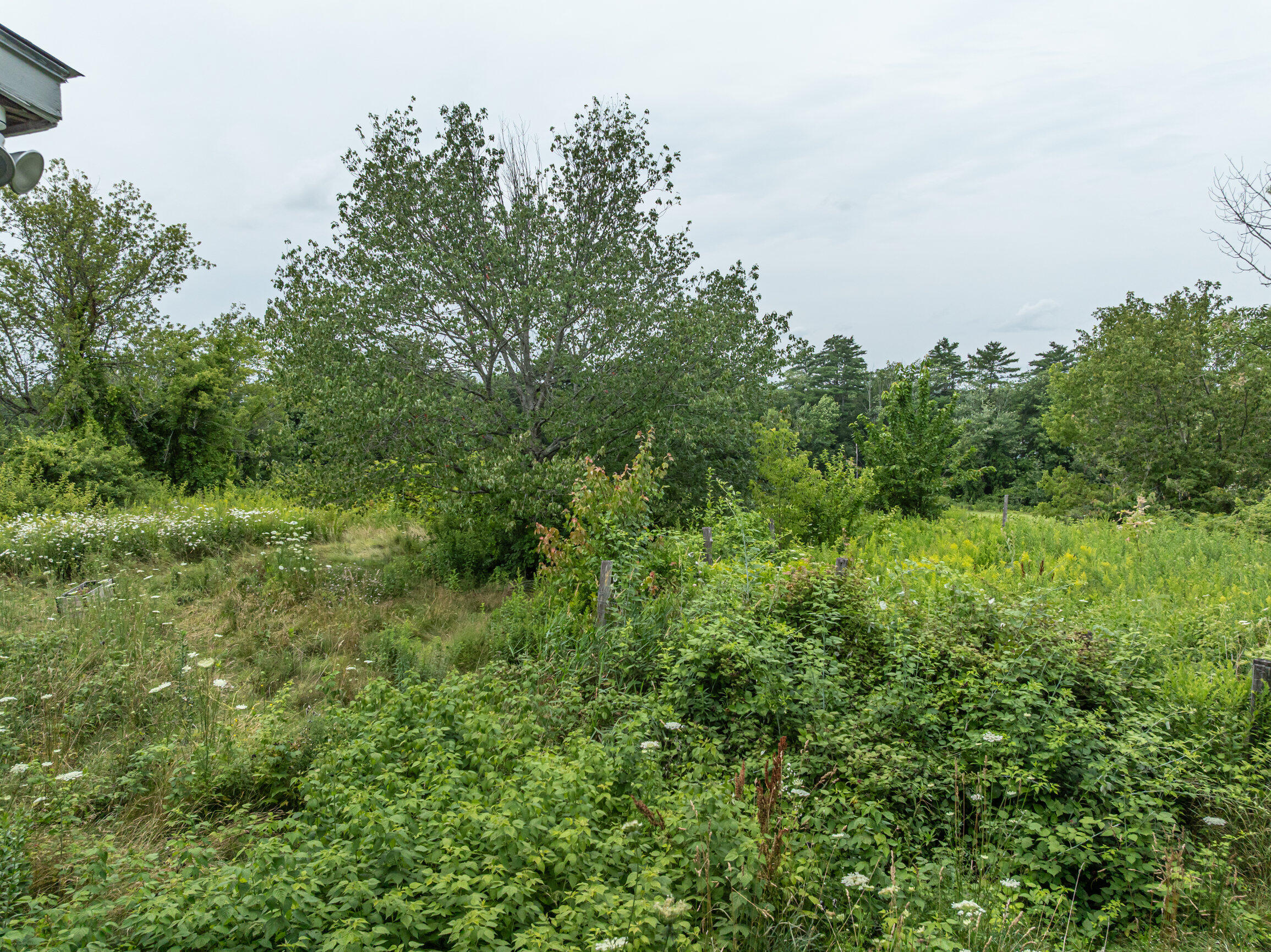 main property photo 59