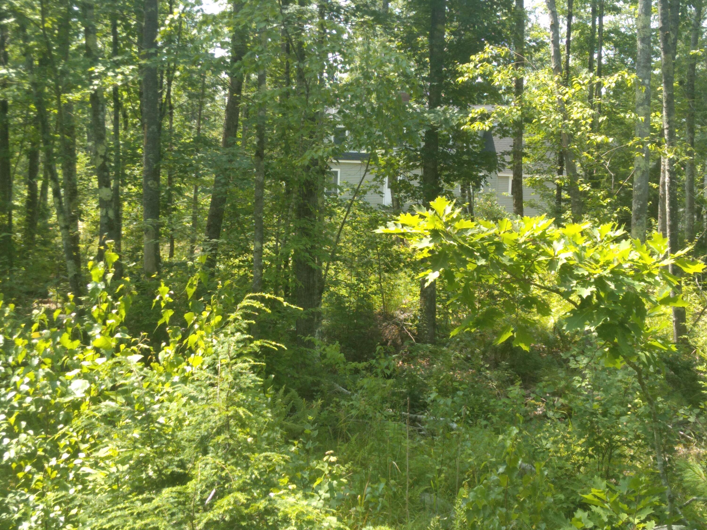 main property photo 10