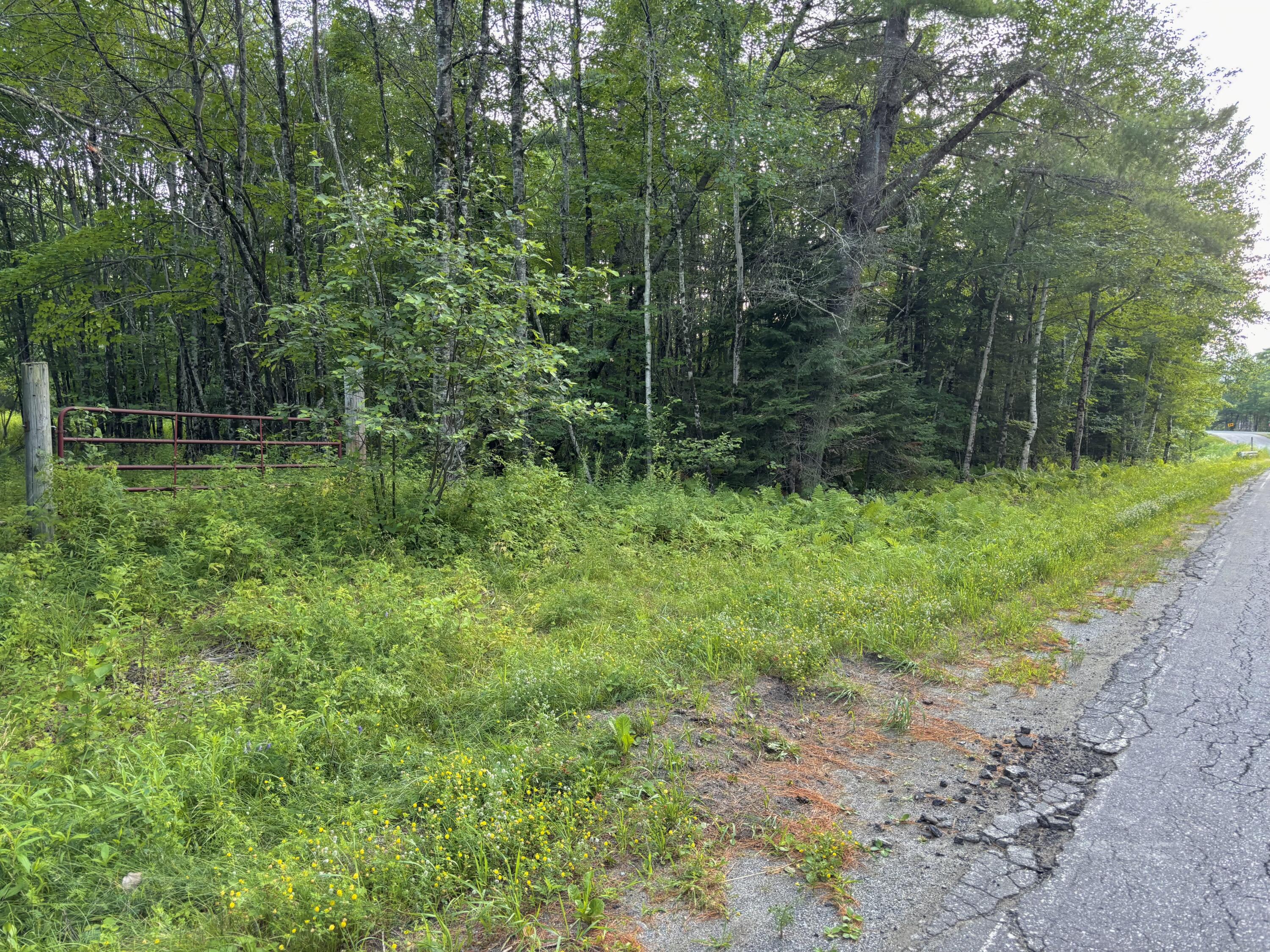main property photo 10