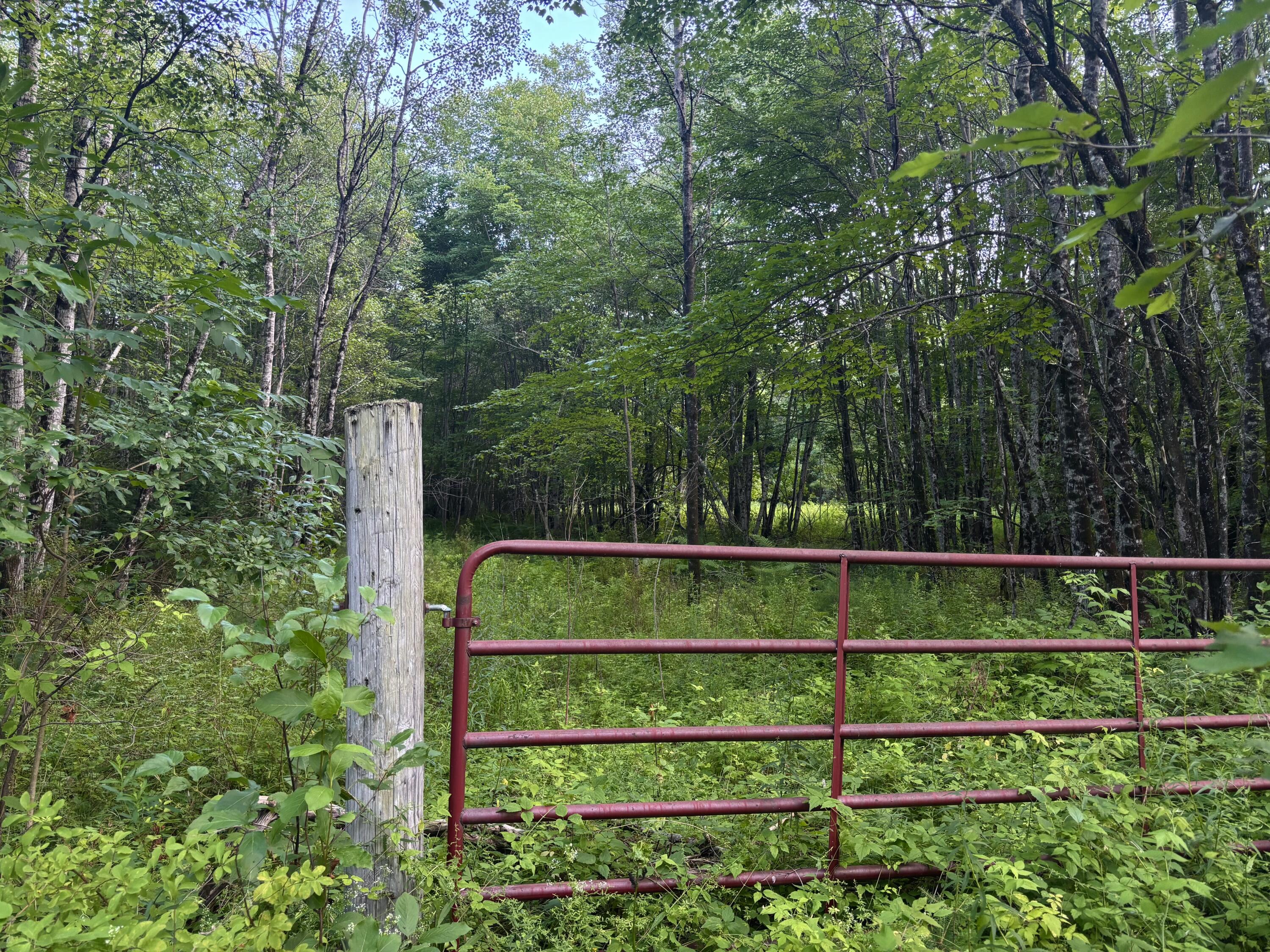 main property photo 11