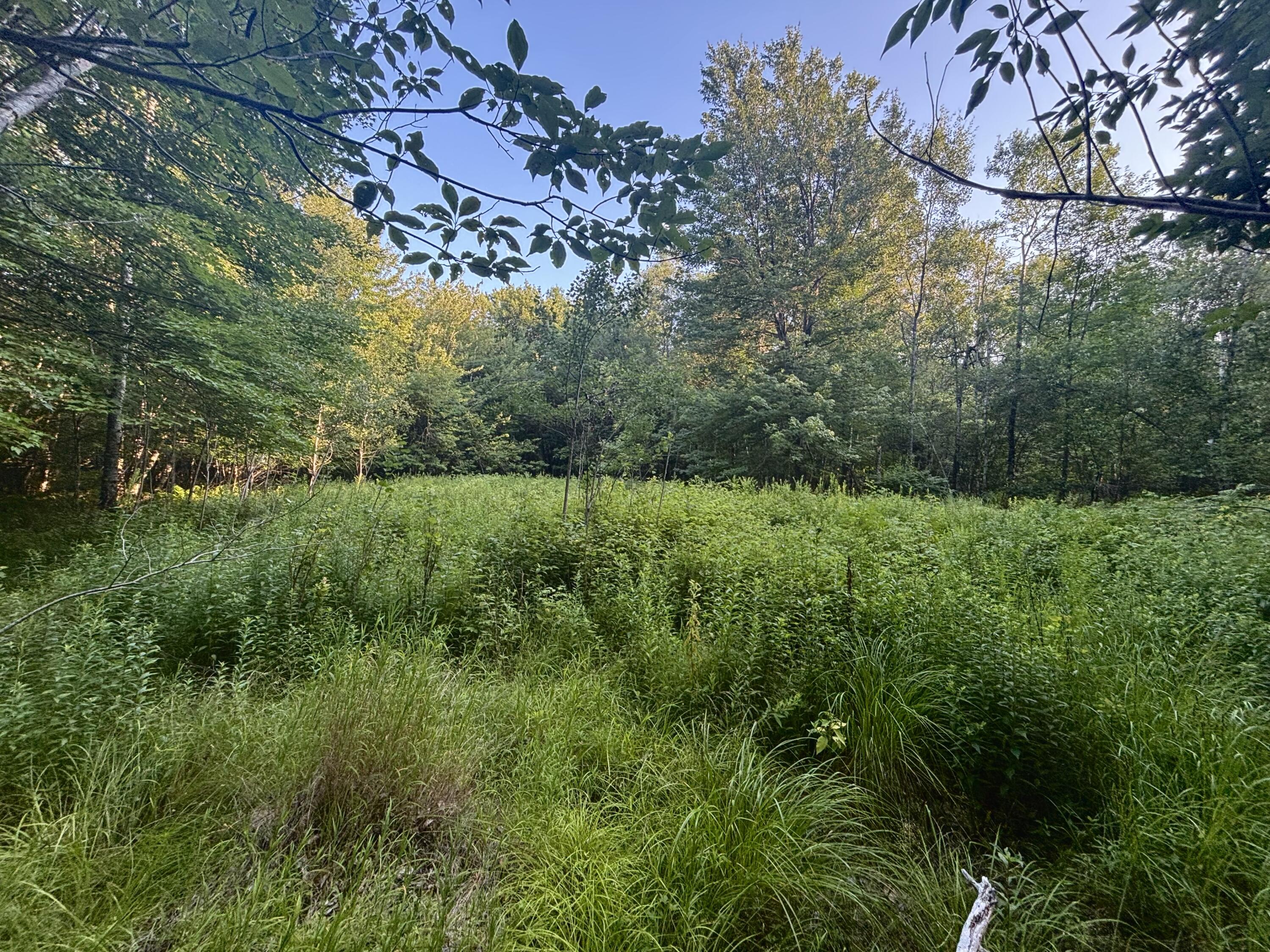 main property photo 12