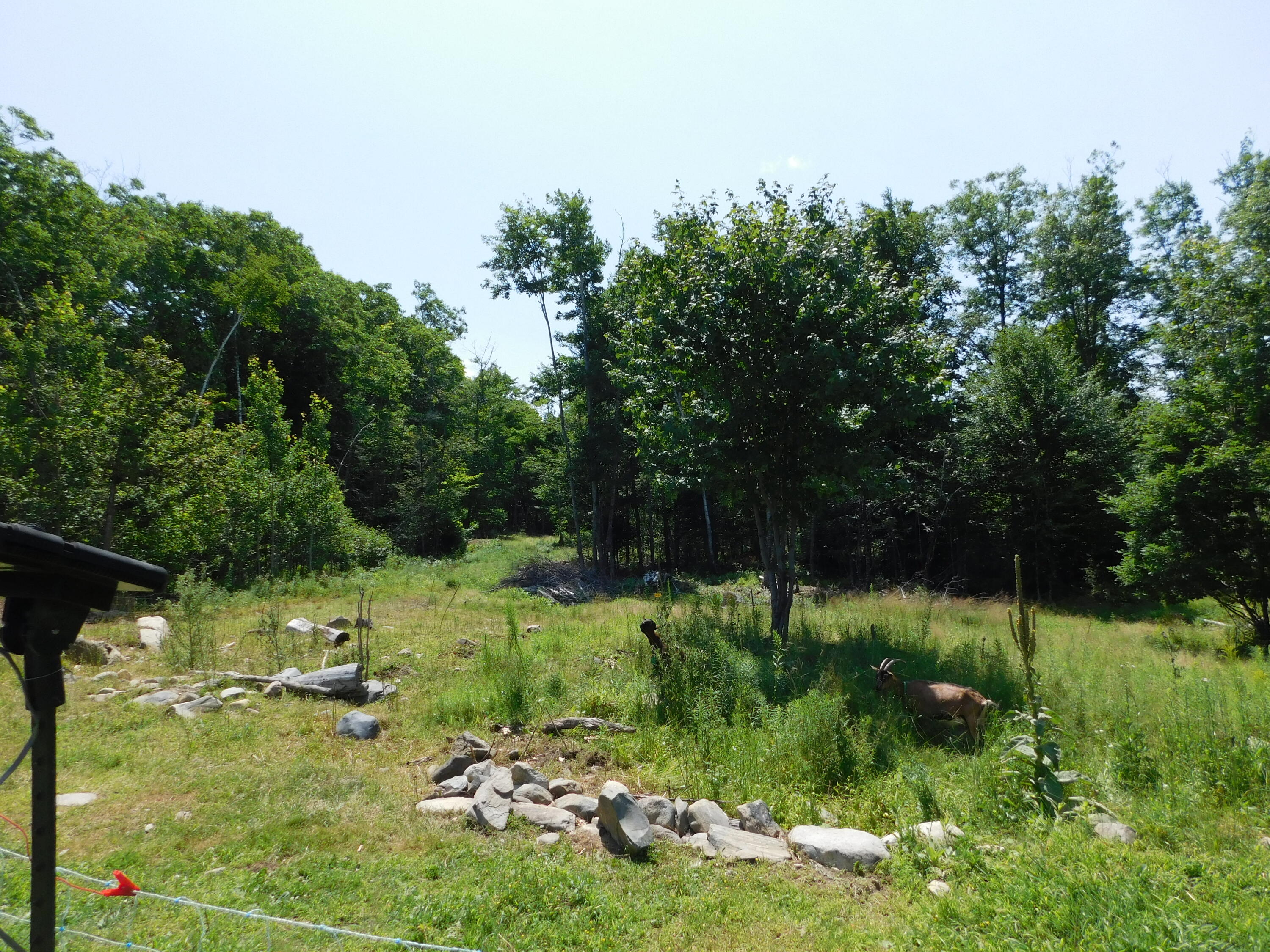main property photo 100