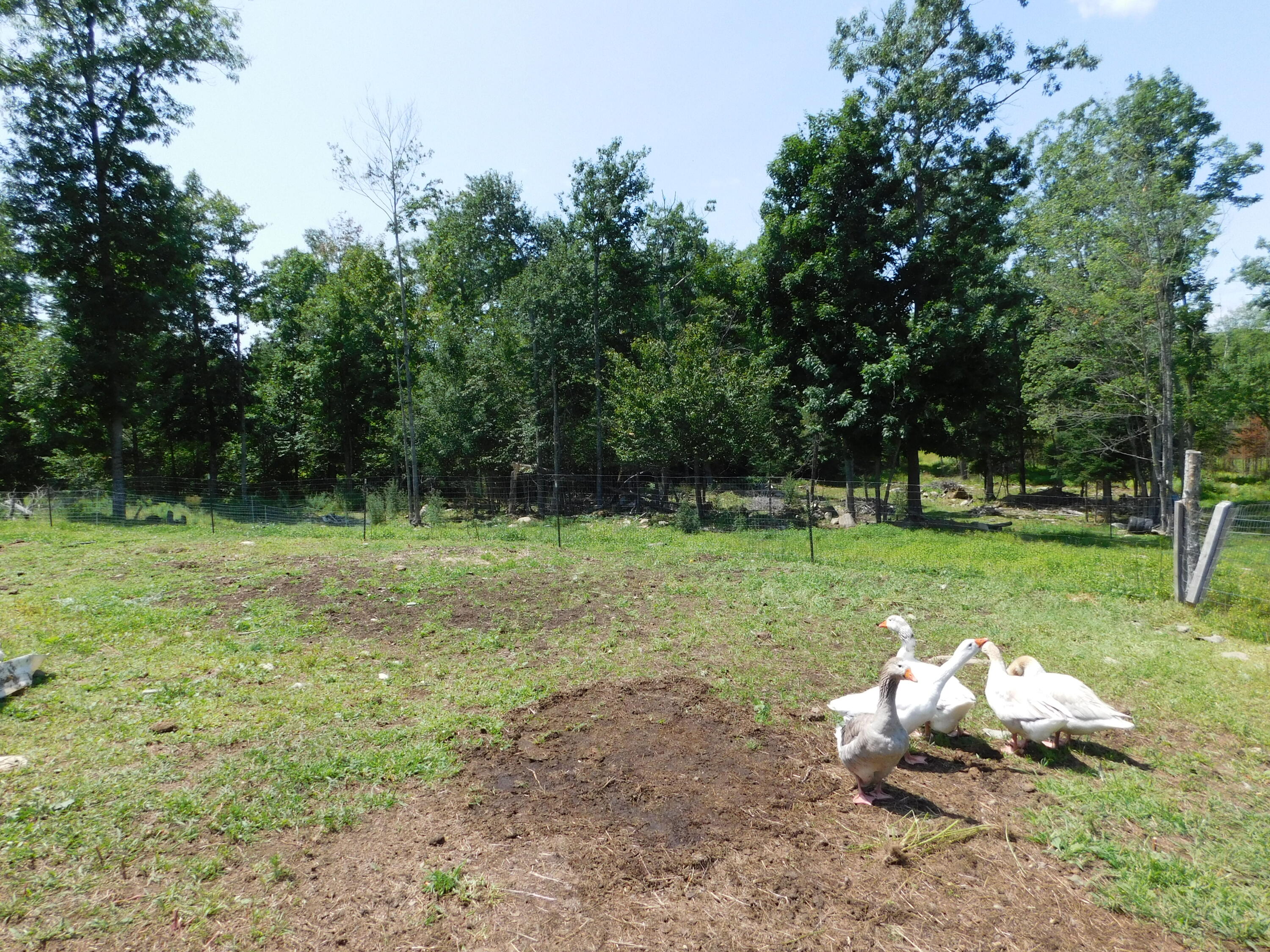 main property photo 102