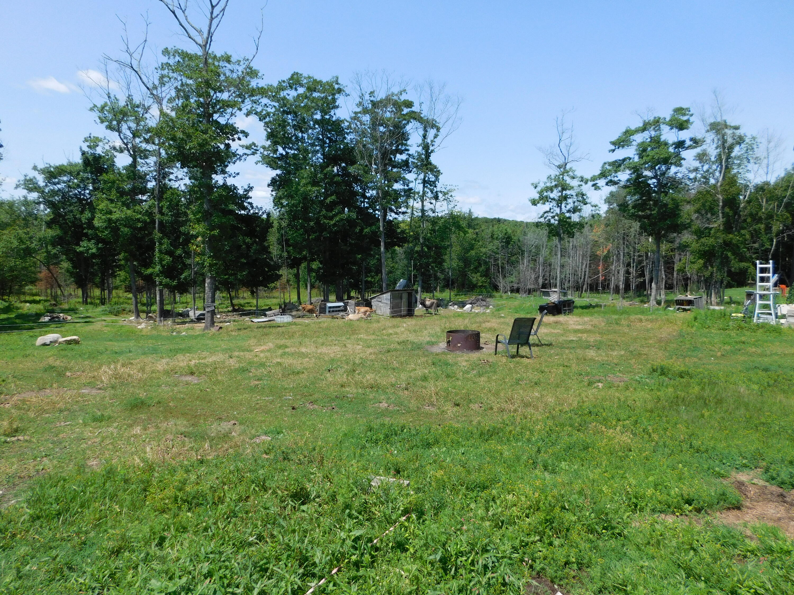 main property photo 104