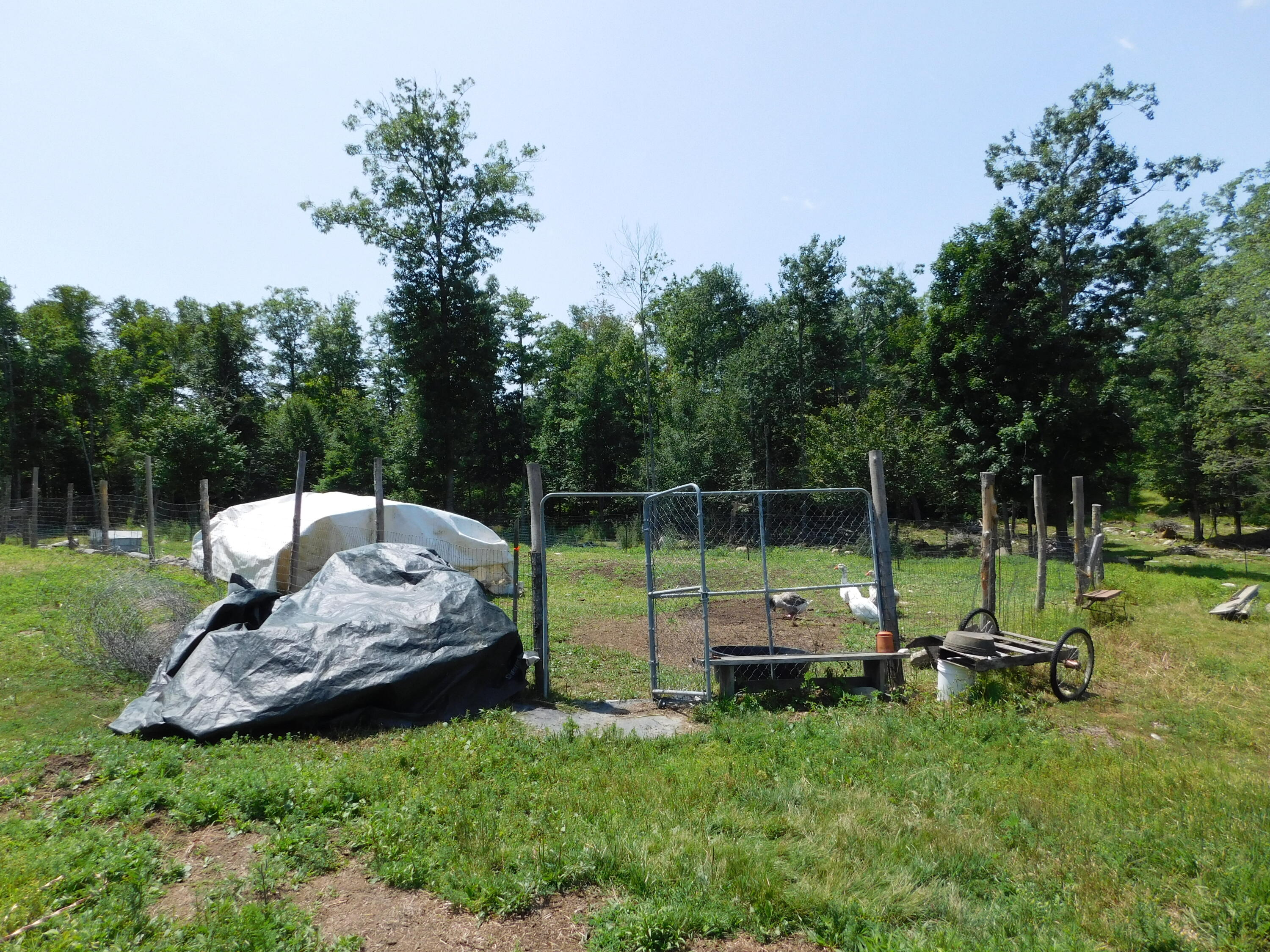main property photo 105