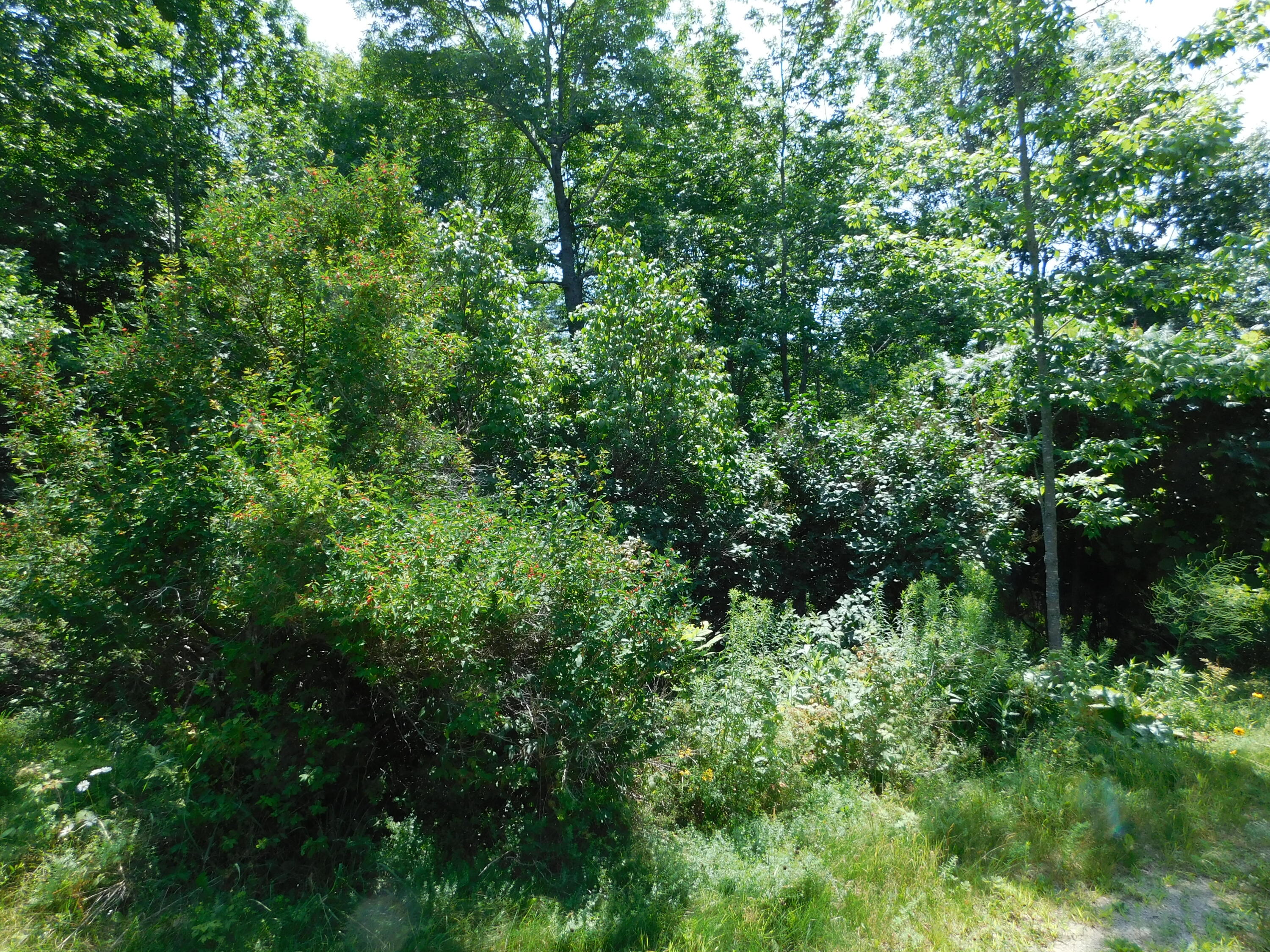 main property photo 113