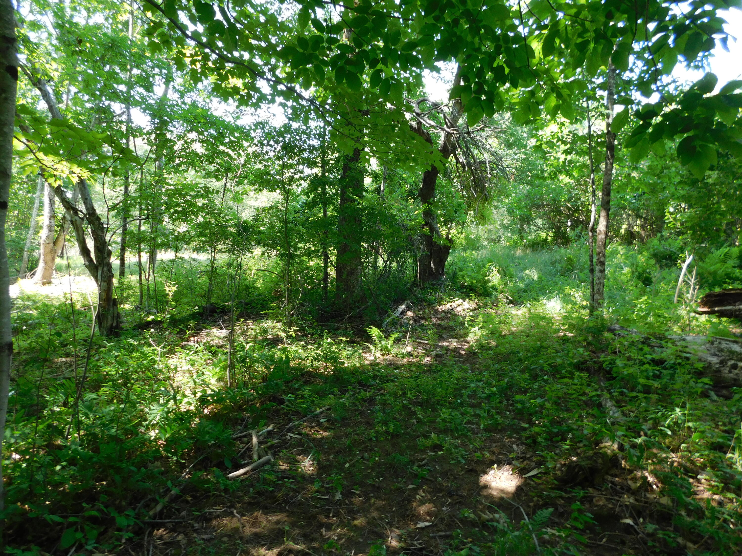 main property photo 114