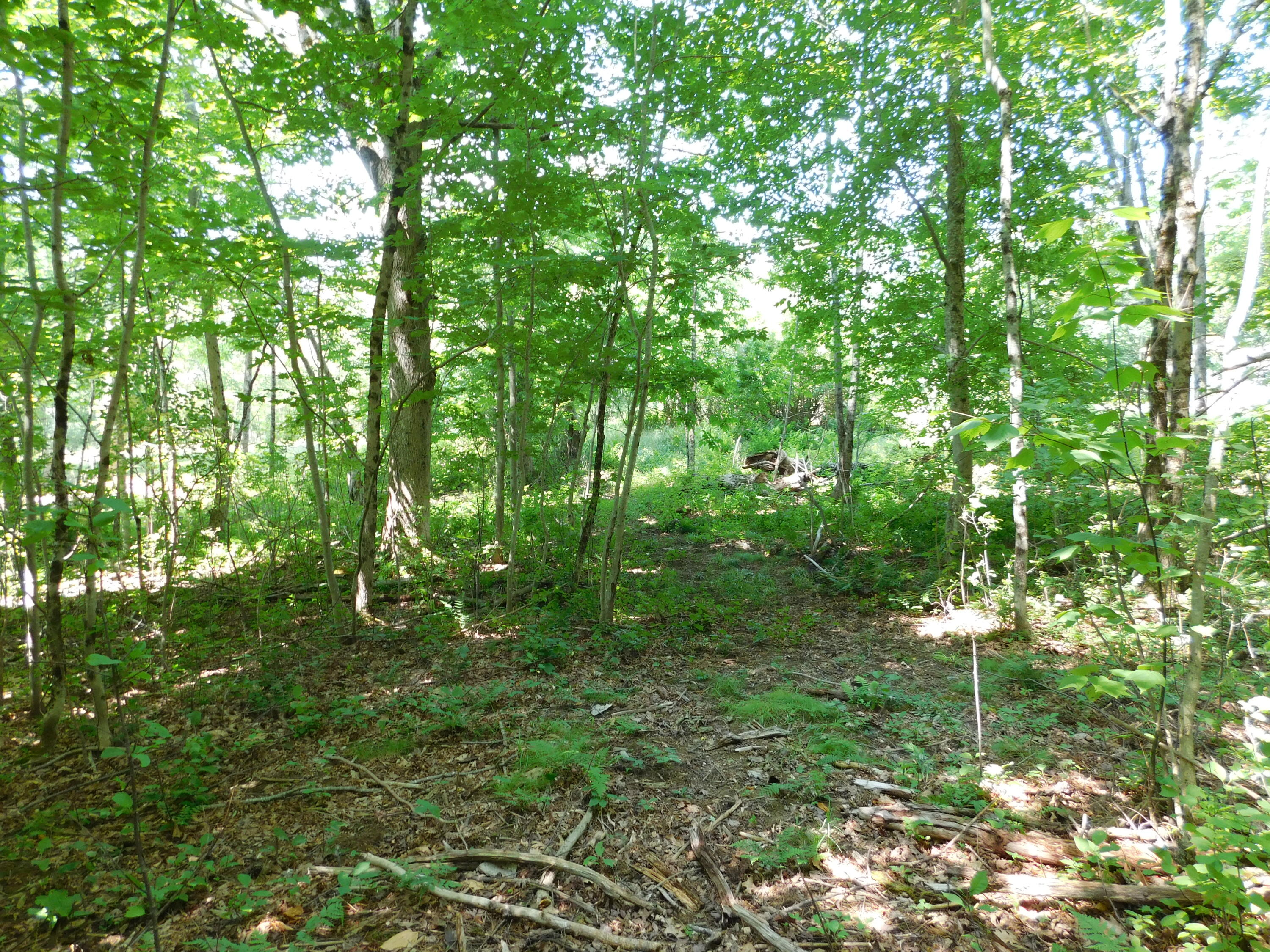 main property photo 115