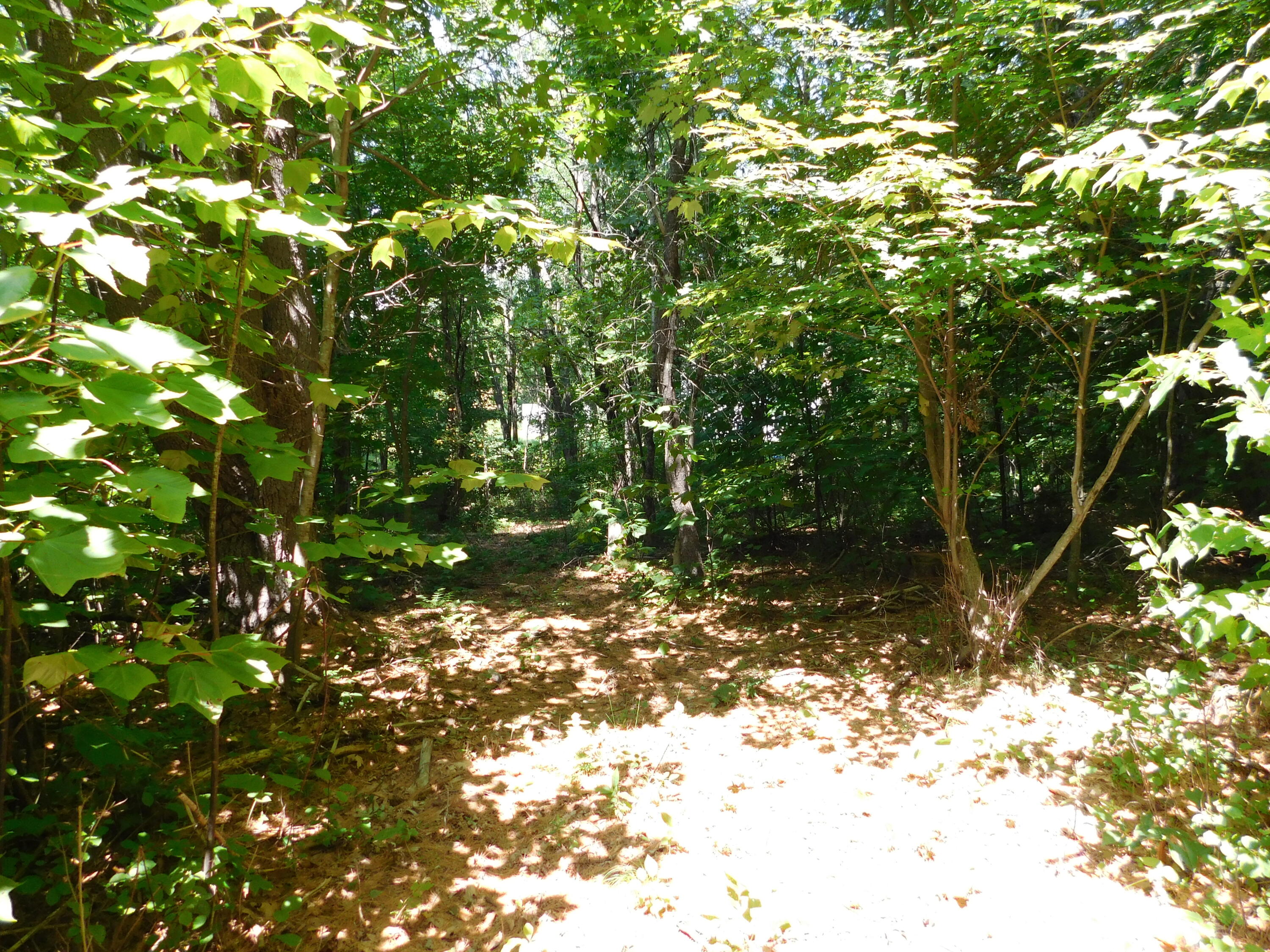 main property photo 116