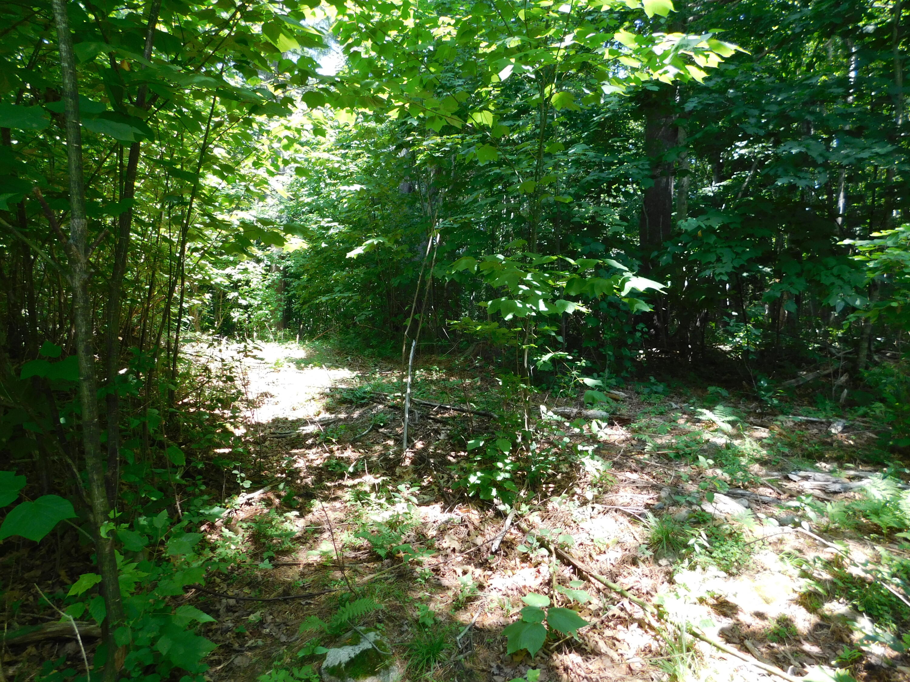 main property photo 117