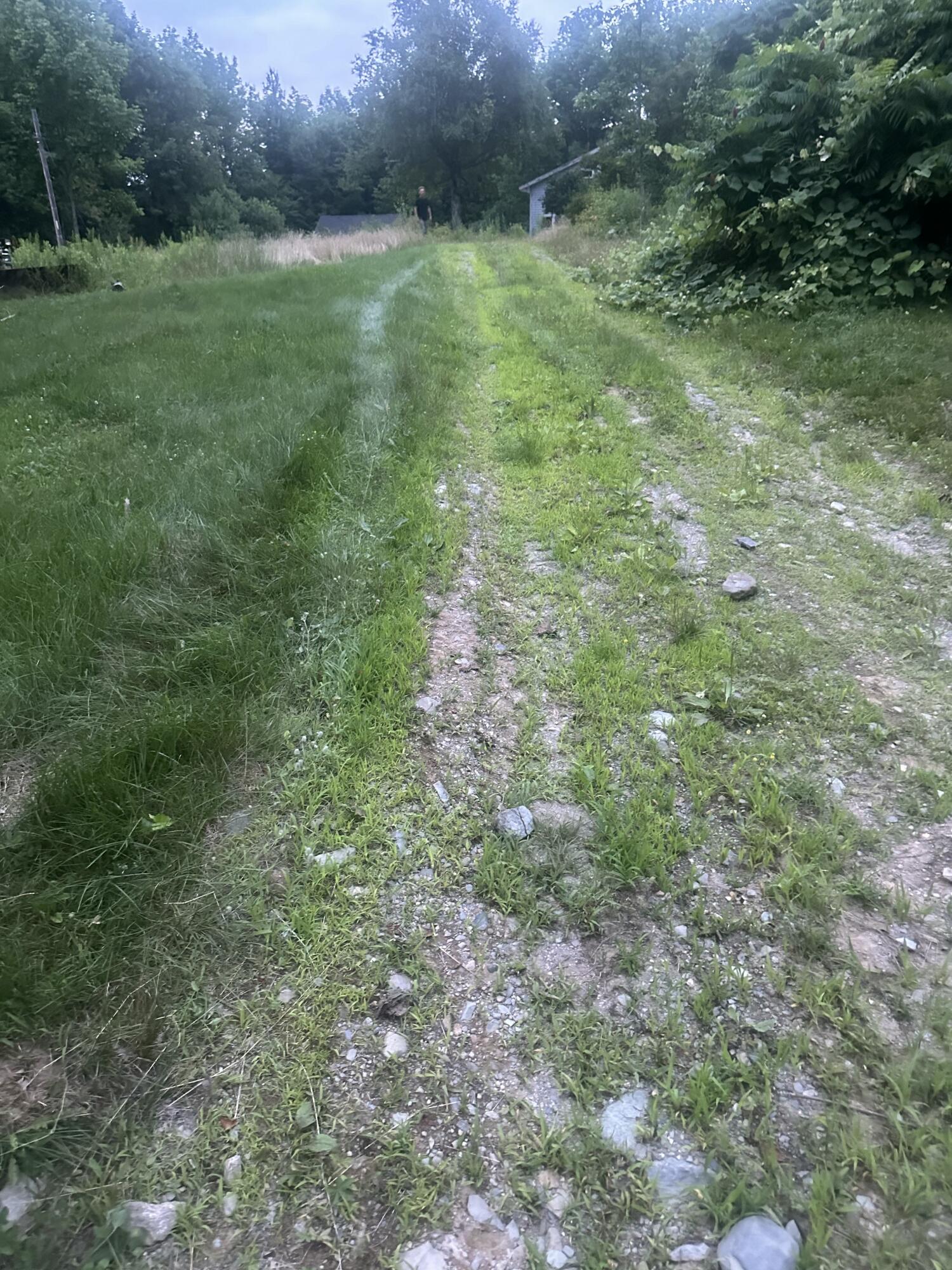 main property photo 118