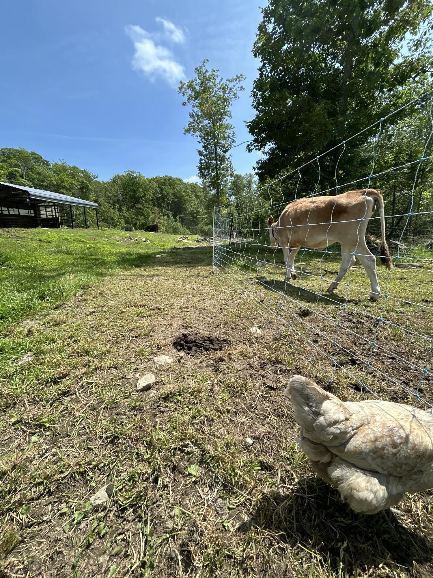 main property photo 125