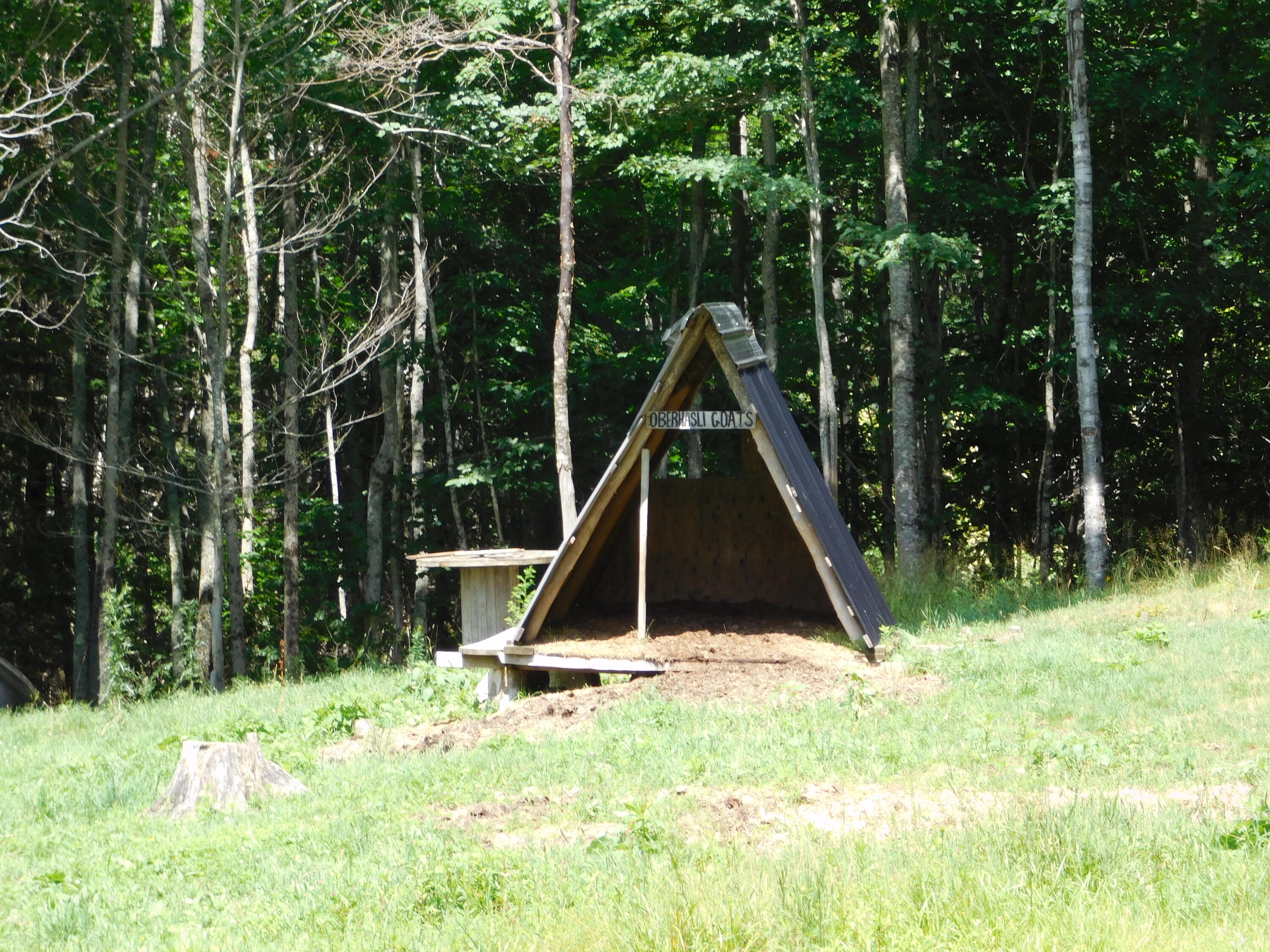 main property photo 61
