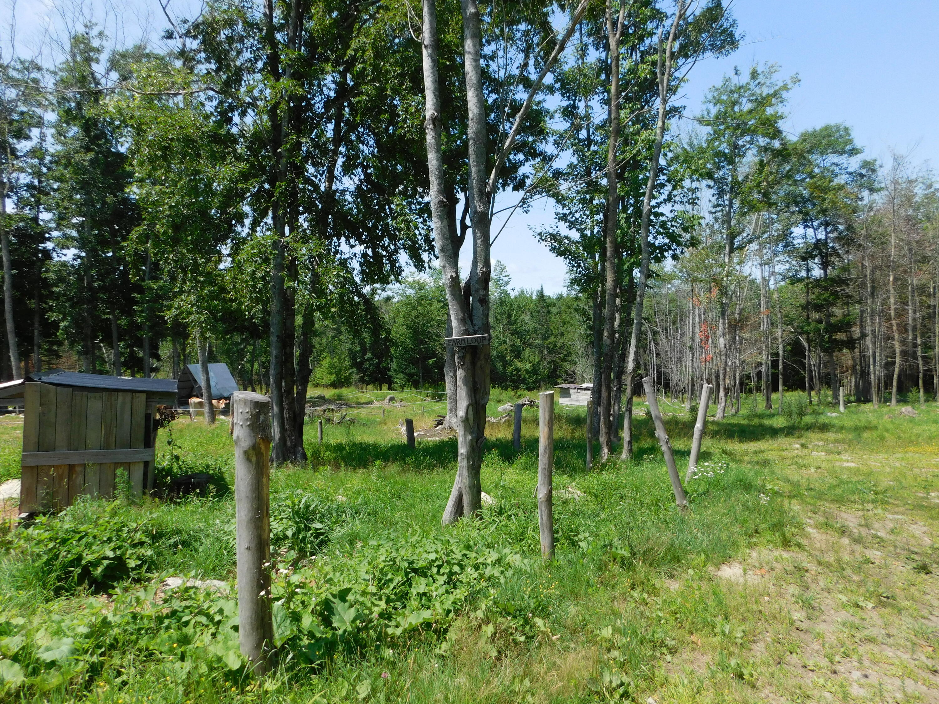 main property photo 62