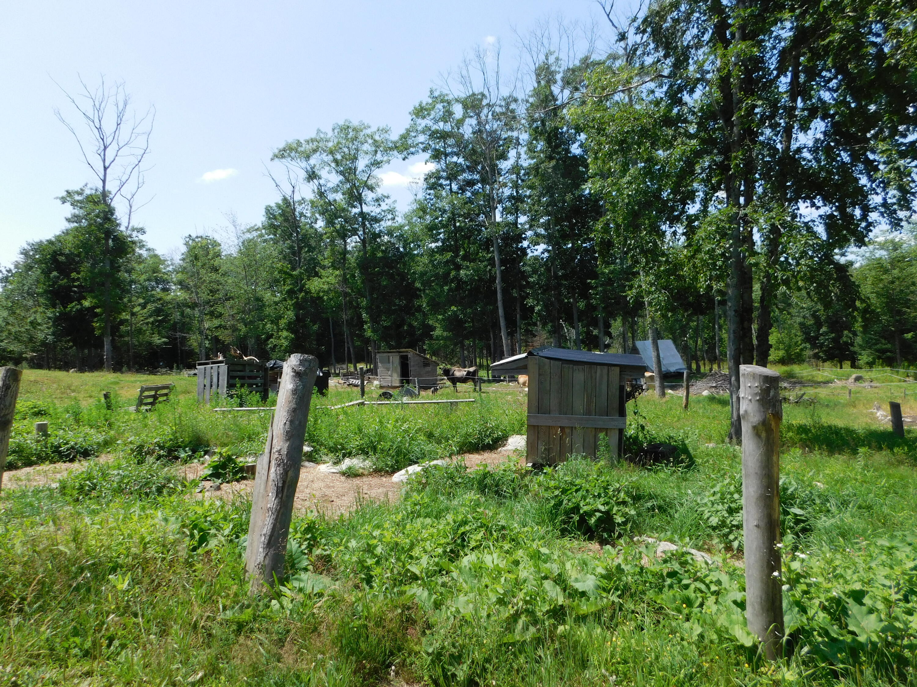 main property photo 63