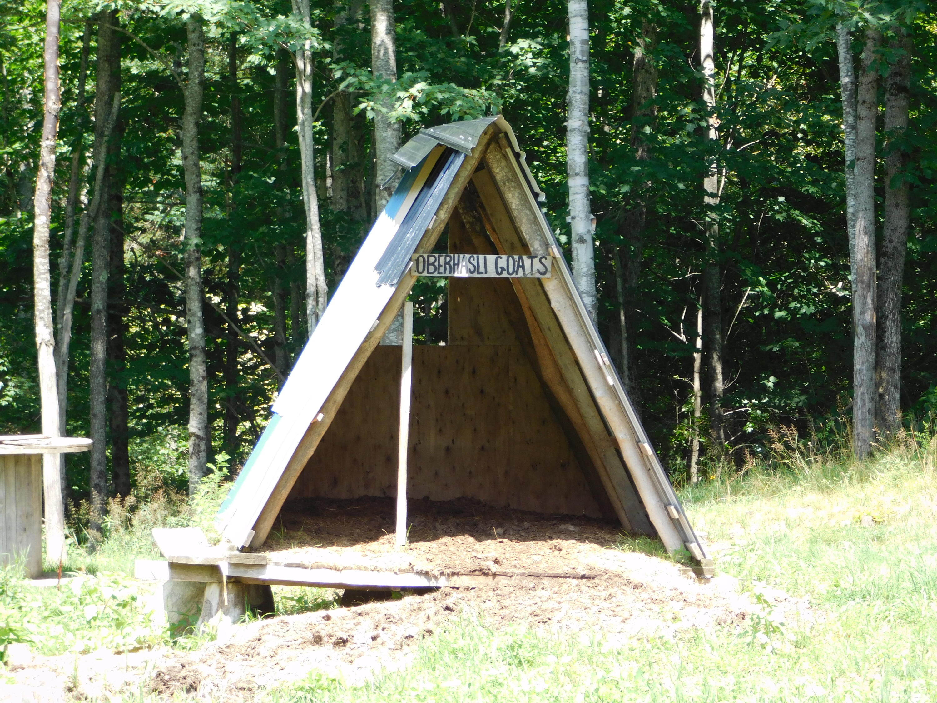 main property photo 64