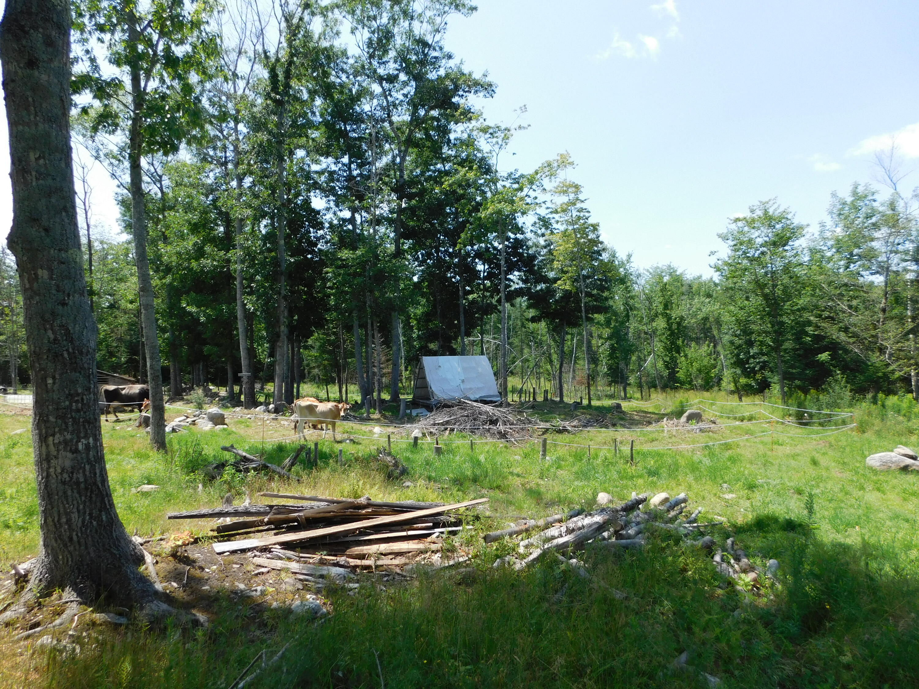 main property photo 65