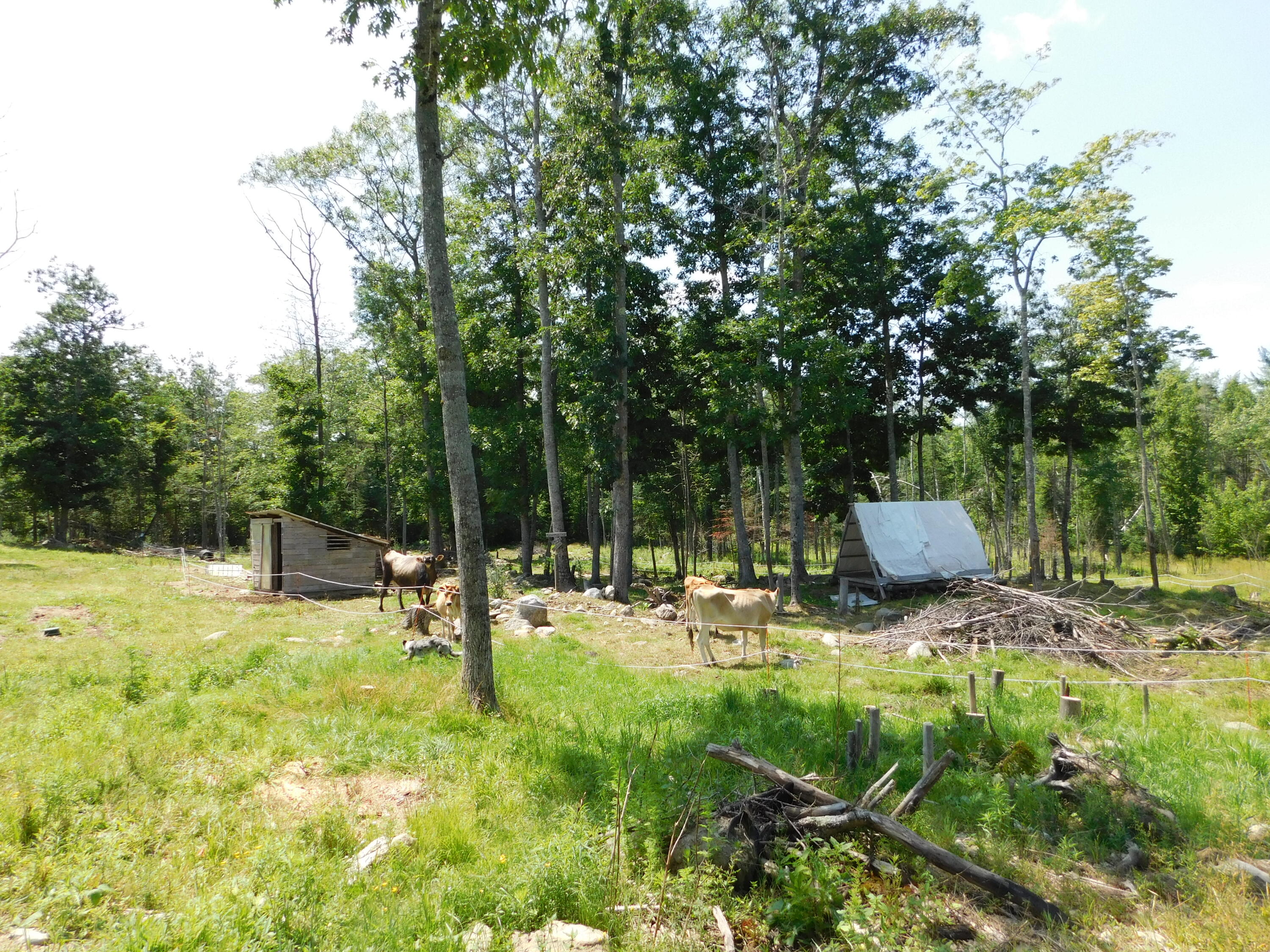 main property photo 66