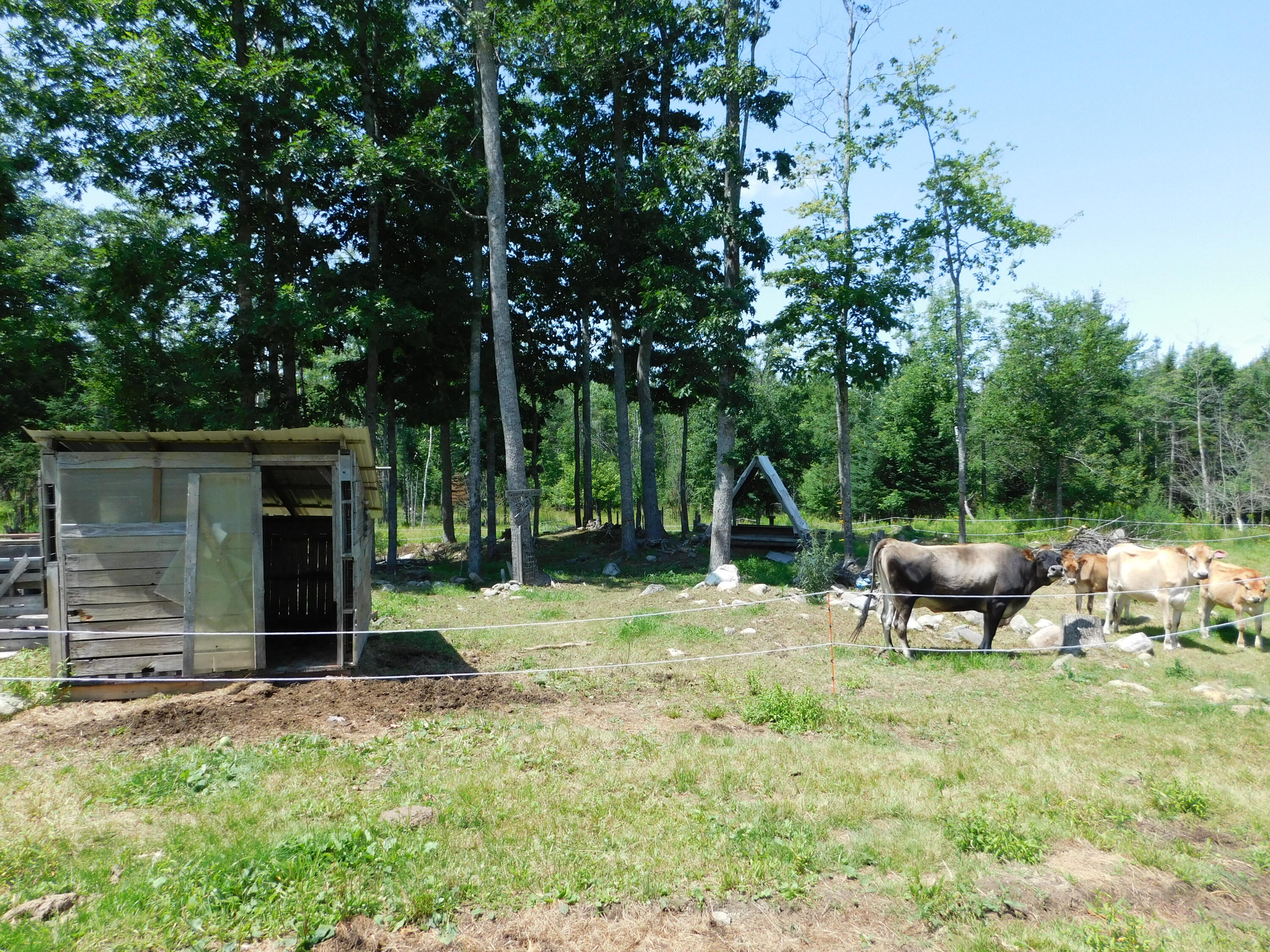main property photo 71