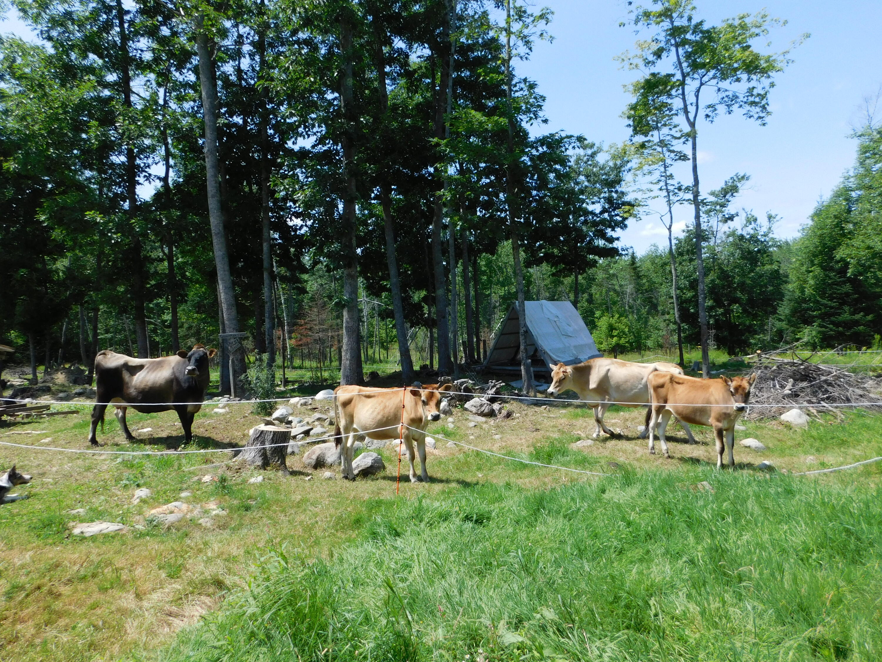 main property photo 74