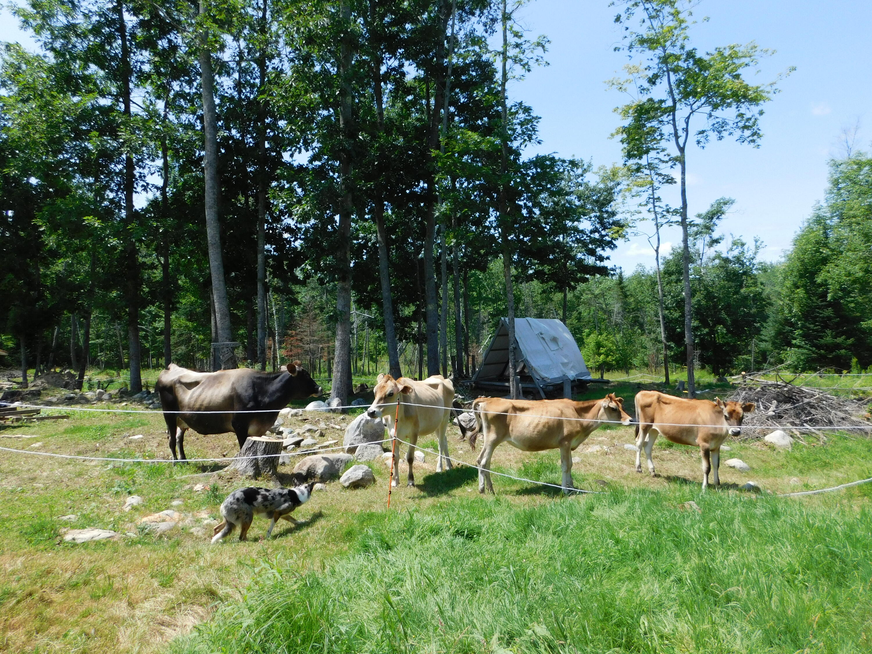 main property photo 75